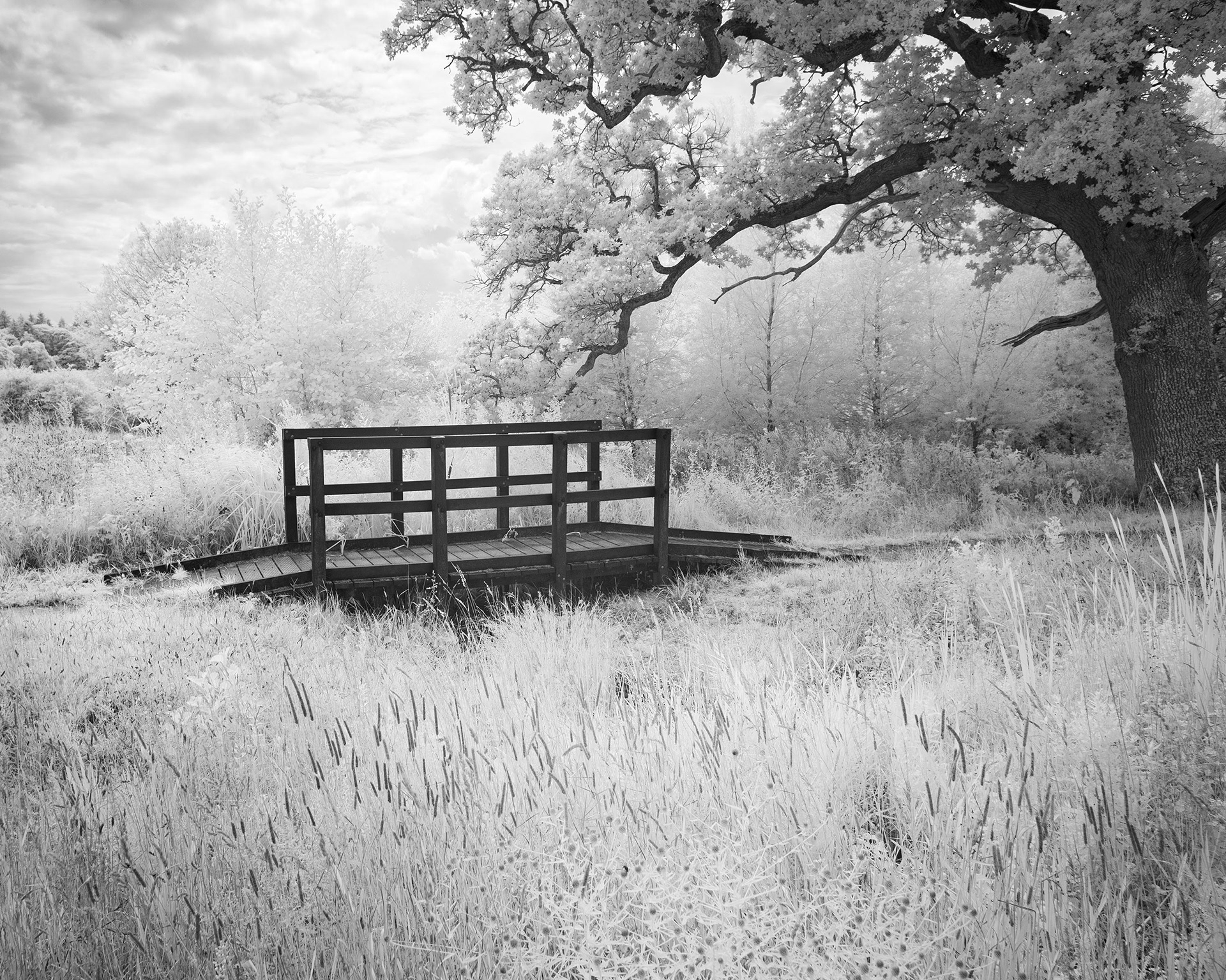 Felbrigg Estate.