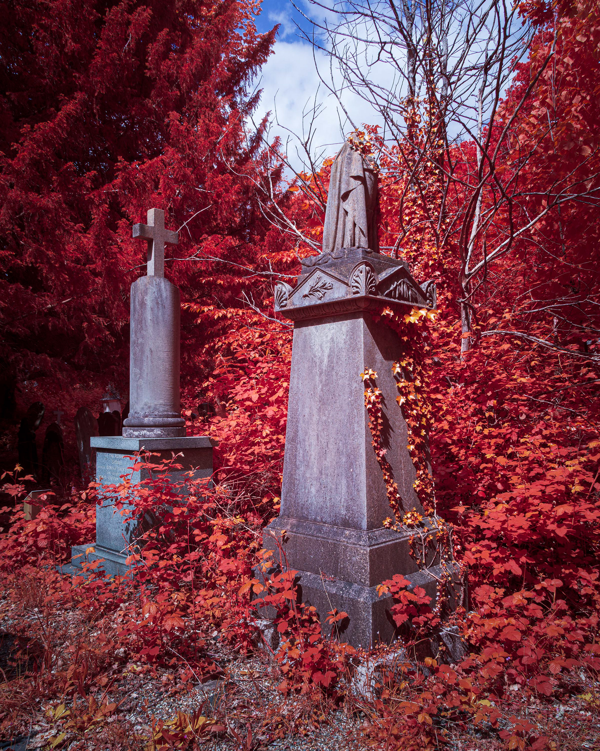 Rosary Cemetery, Norwich.