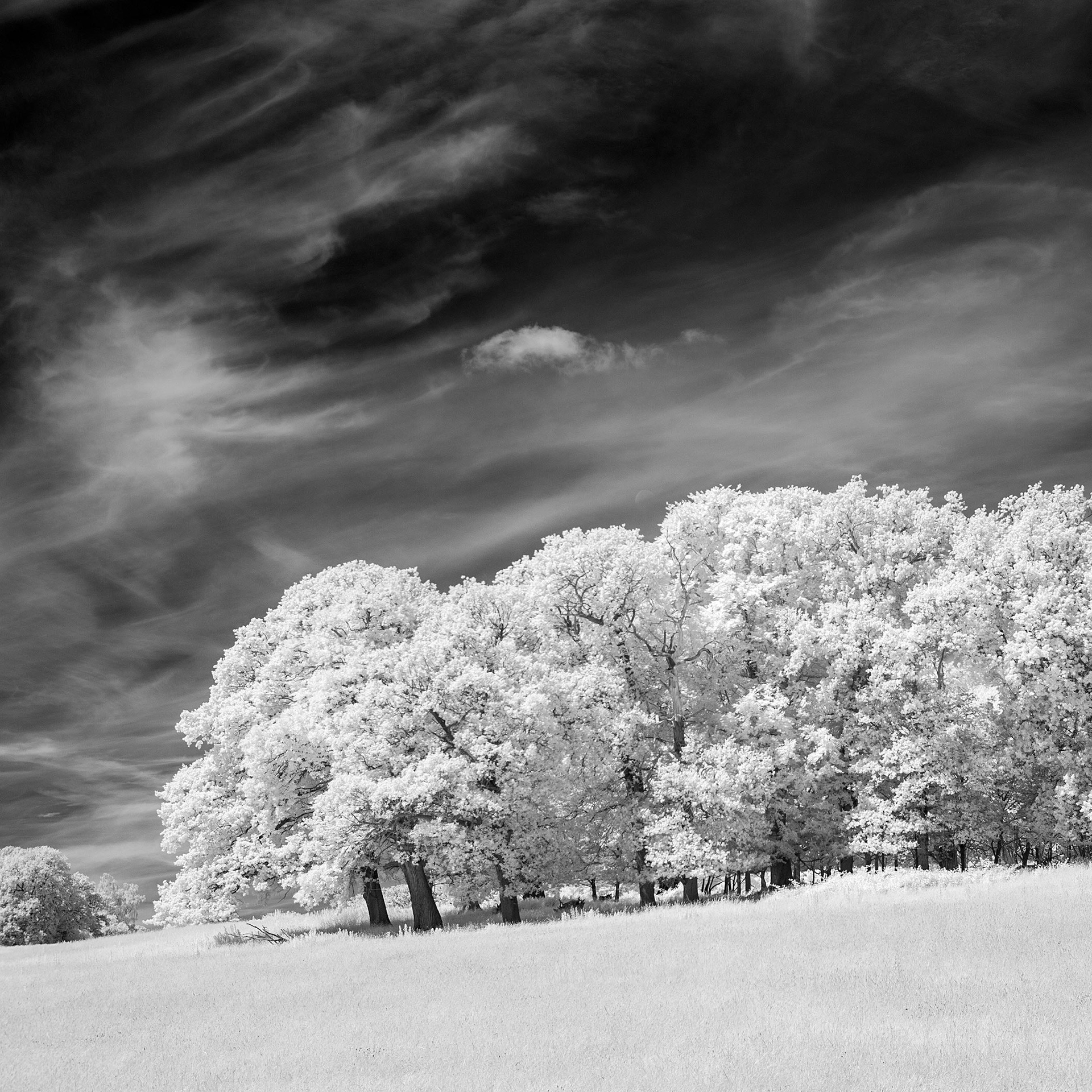 Blickling Estate.