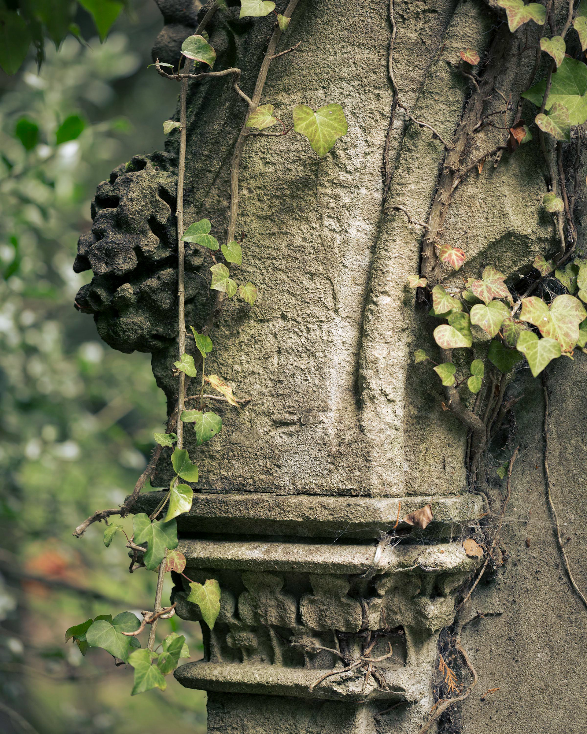 Earlham Cemetery, Norwich.