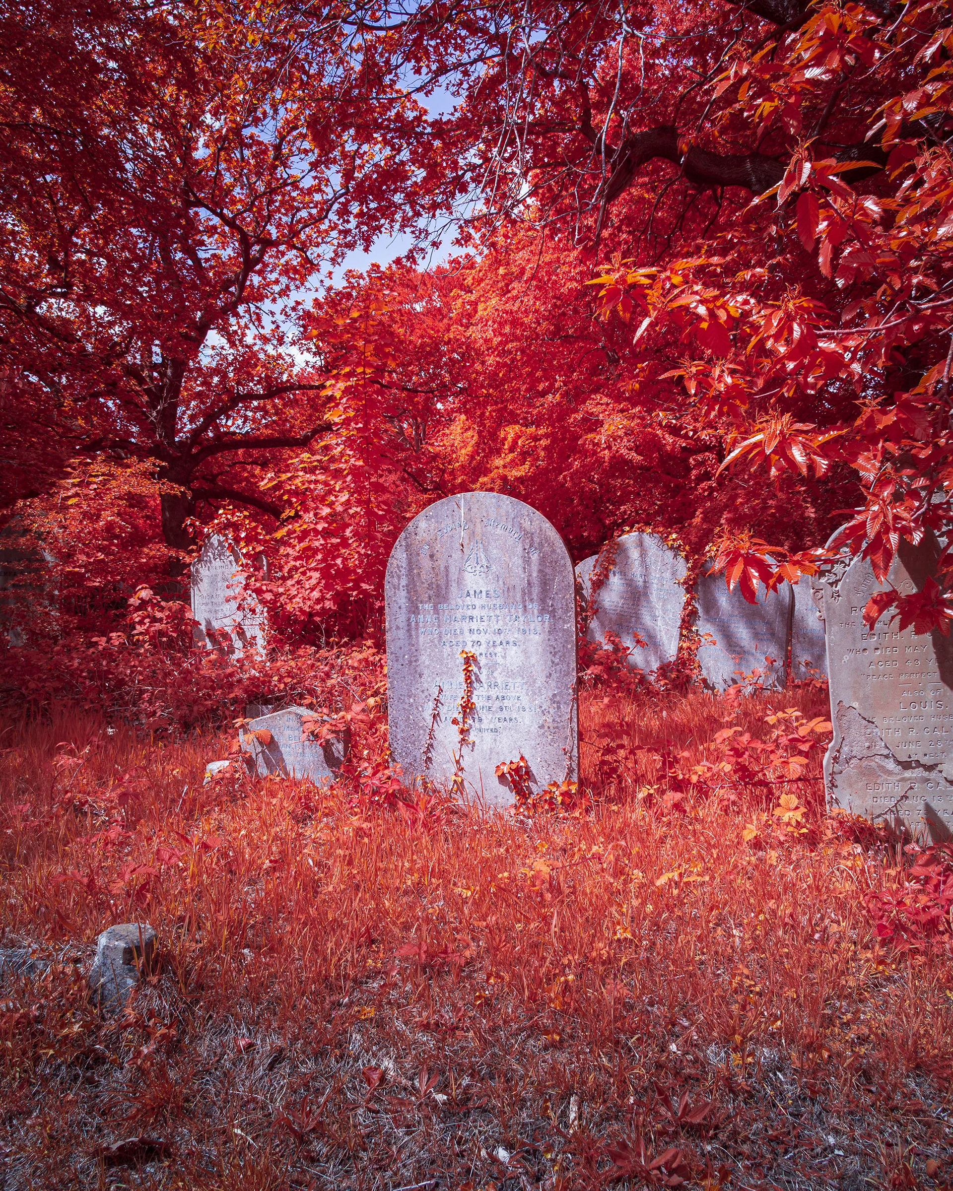 Rosary Cemetery, Norwich.