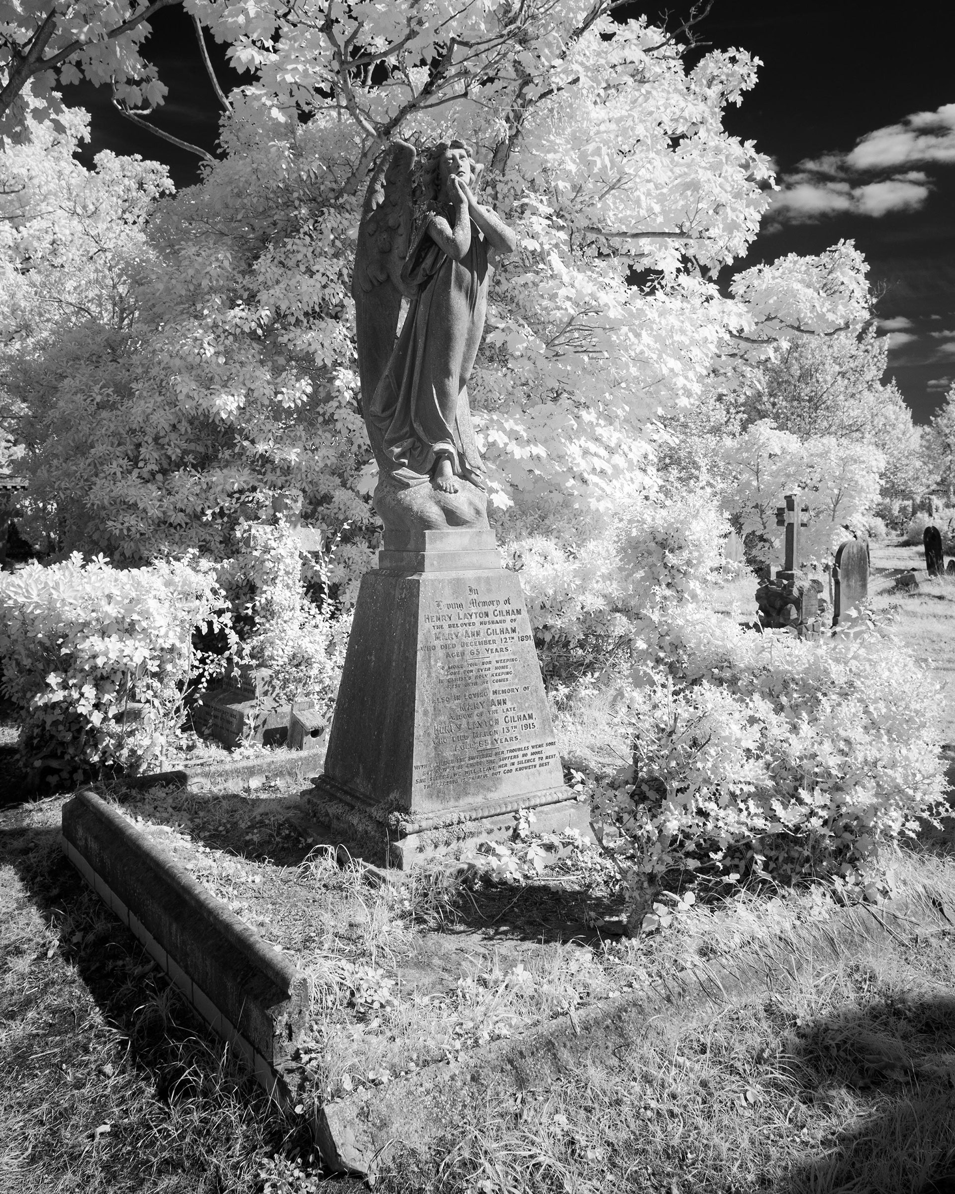 Great Yarmouth Old Cemetery.