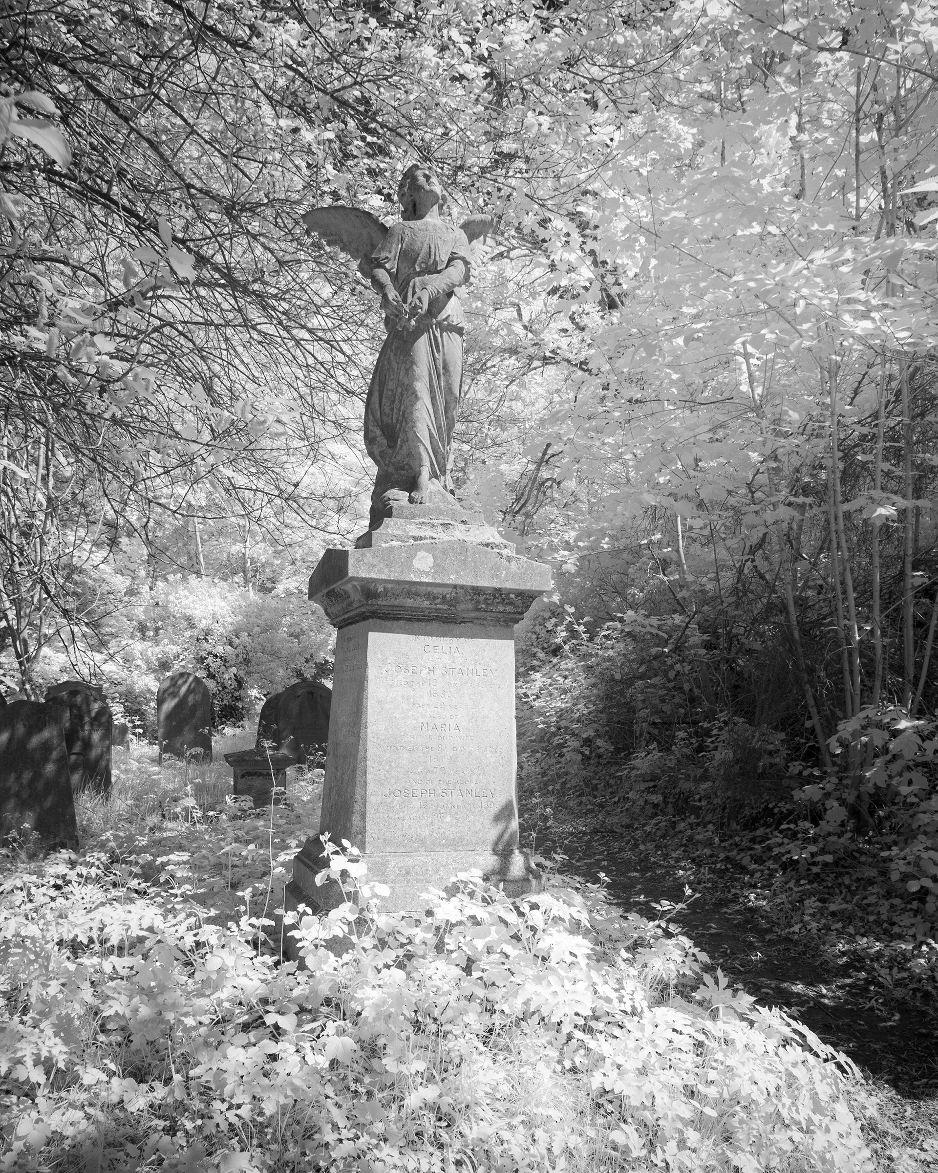 Rosary Cemetery.