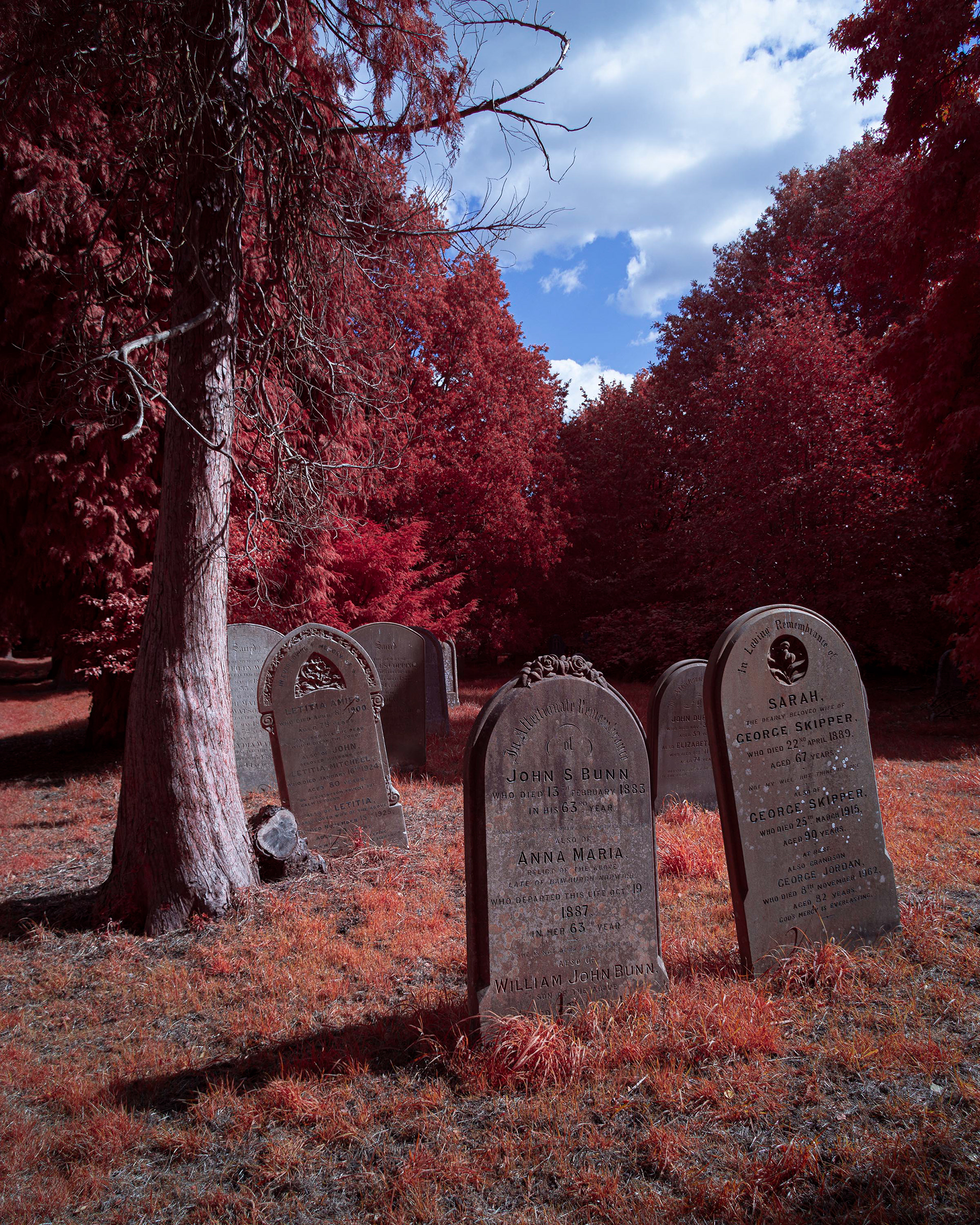 Earlham Cemetery.