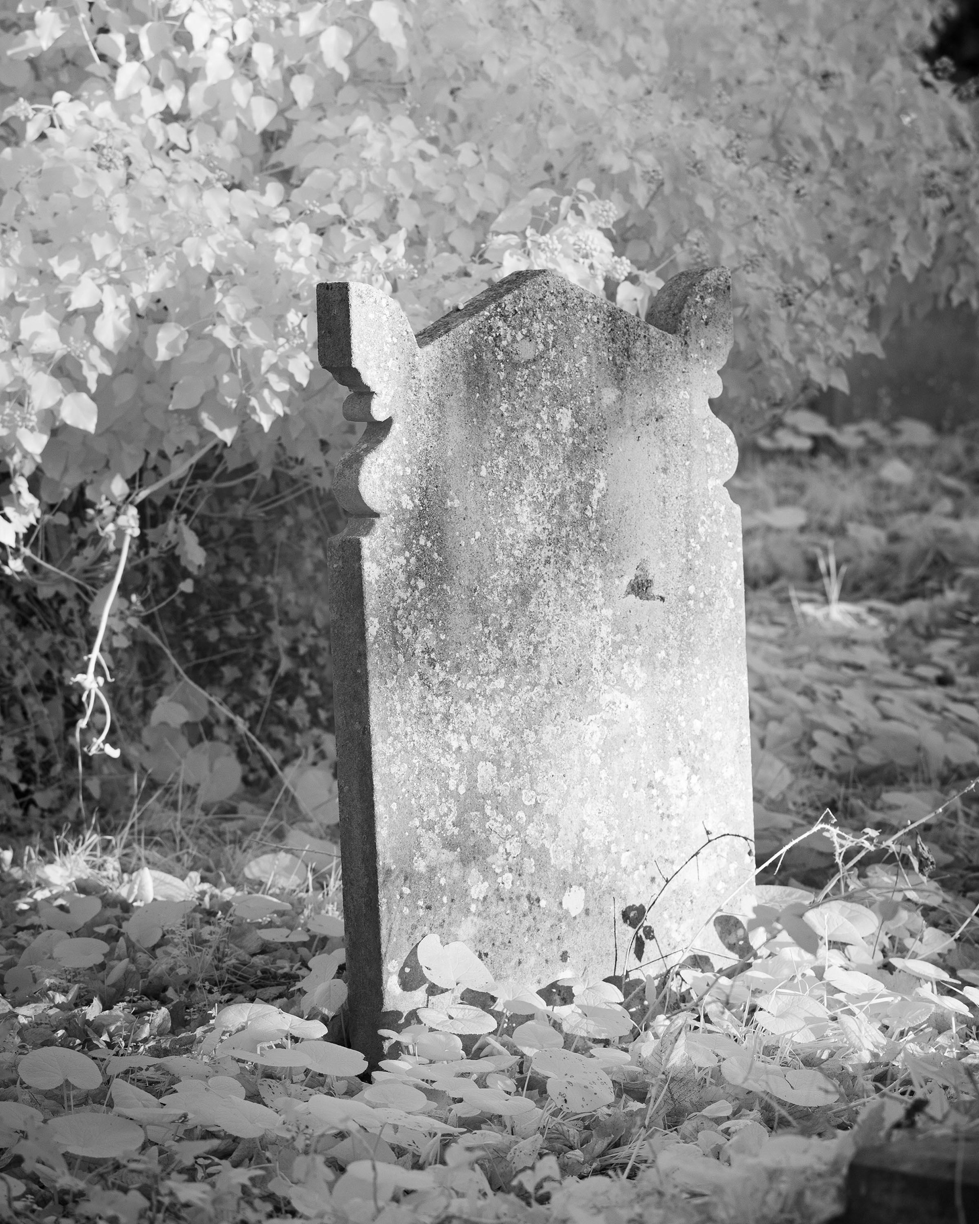 Rosary Cemetery, Norwich.