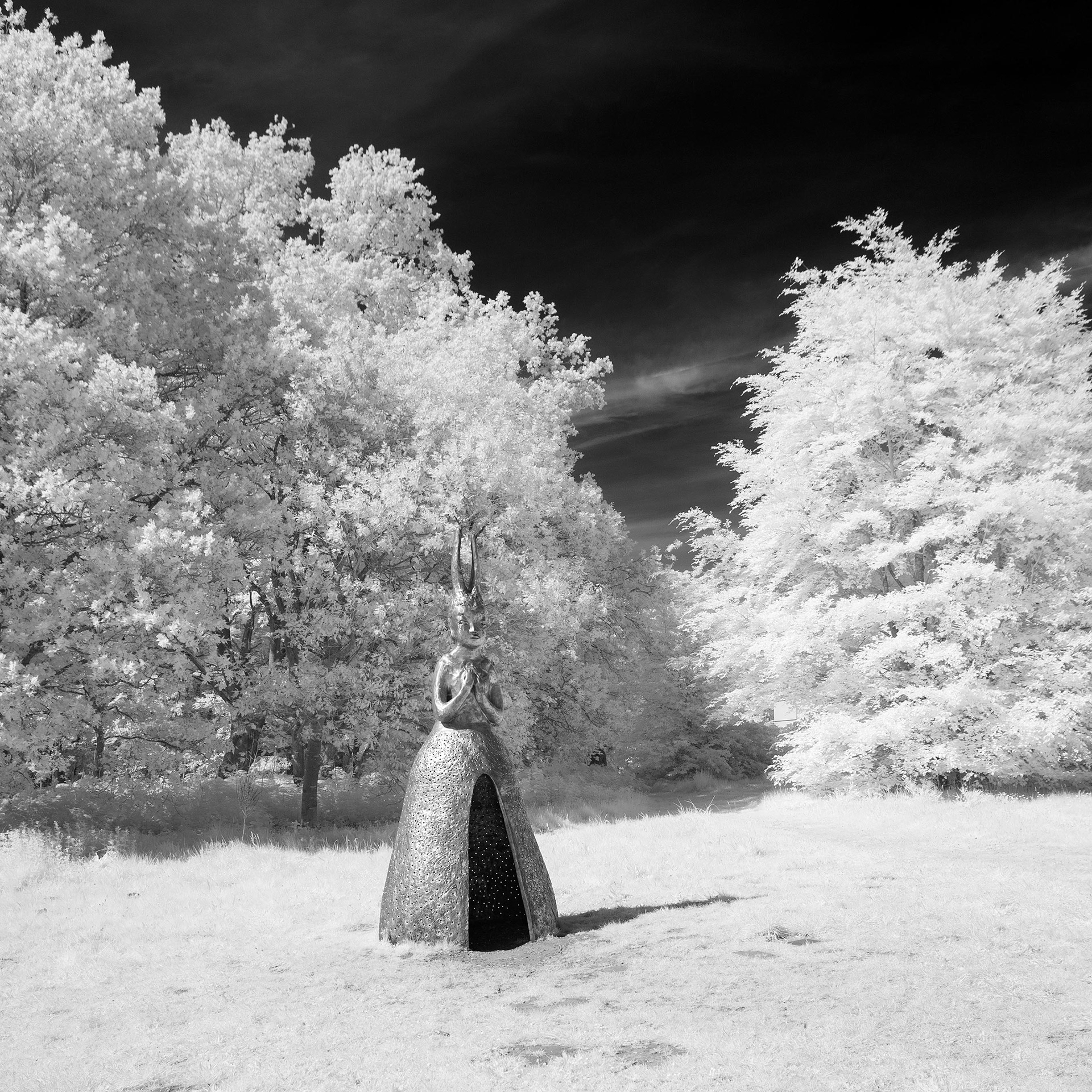 UEA Sculpture Park.