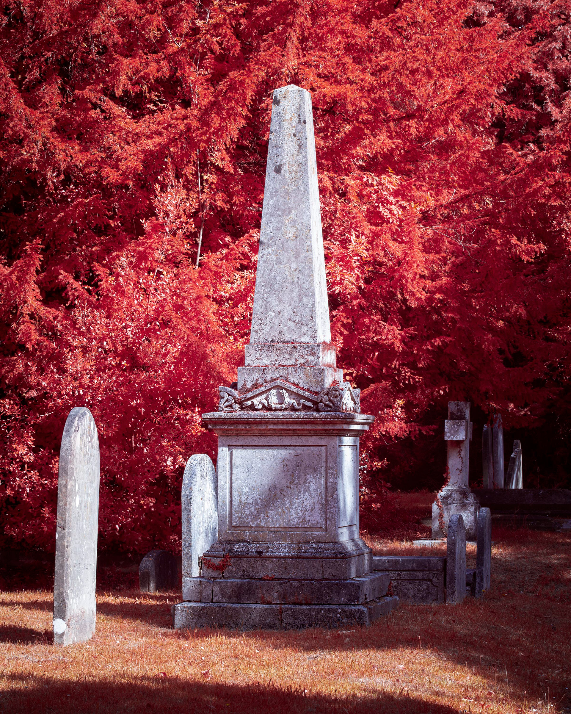 Earlham Cemetery.