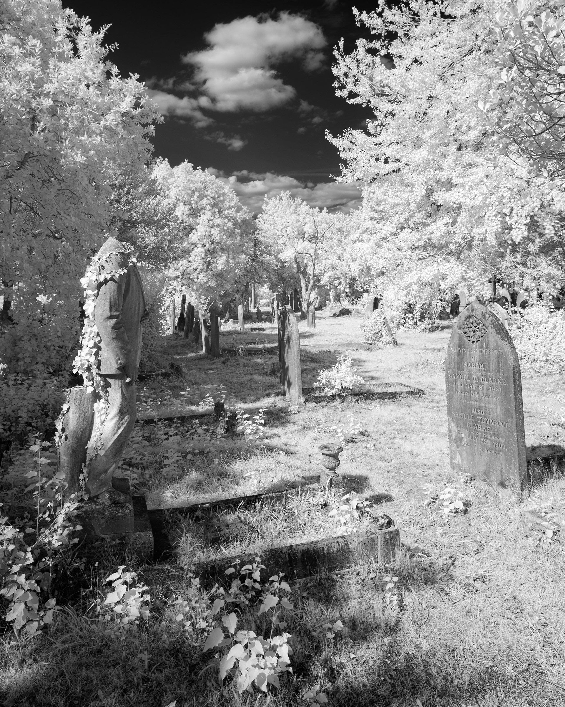 Great Yarmouth Old Cemetery.