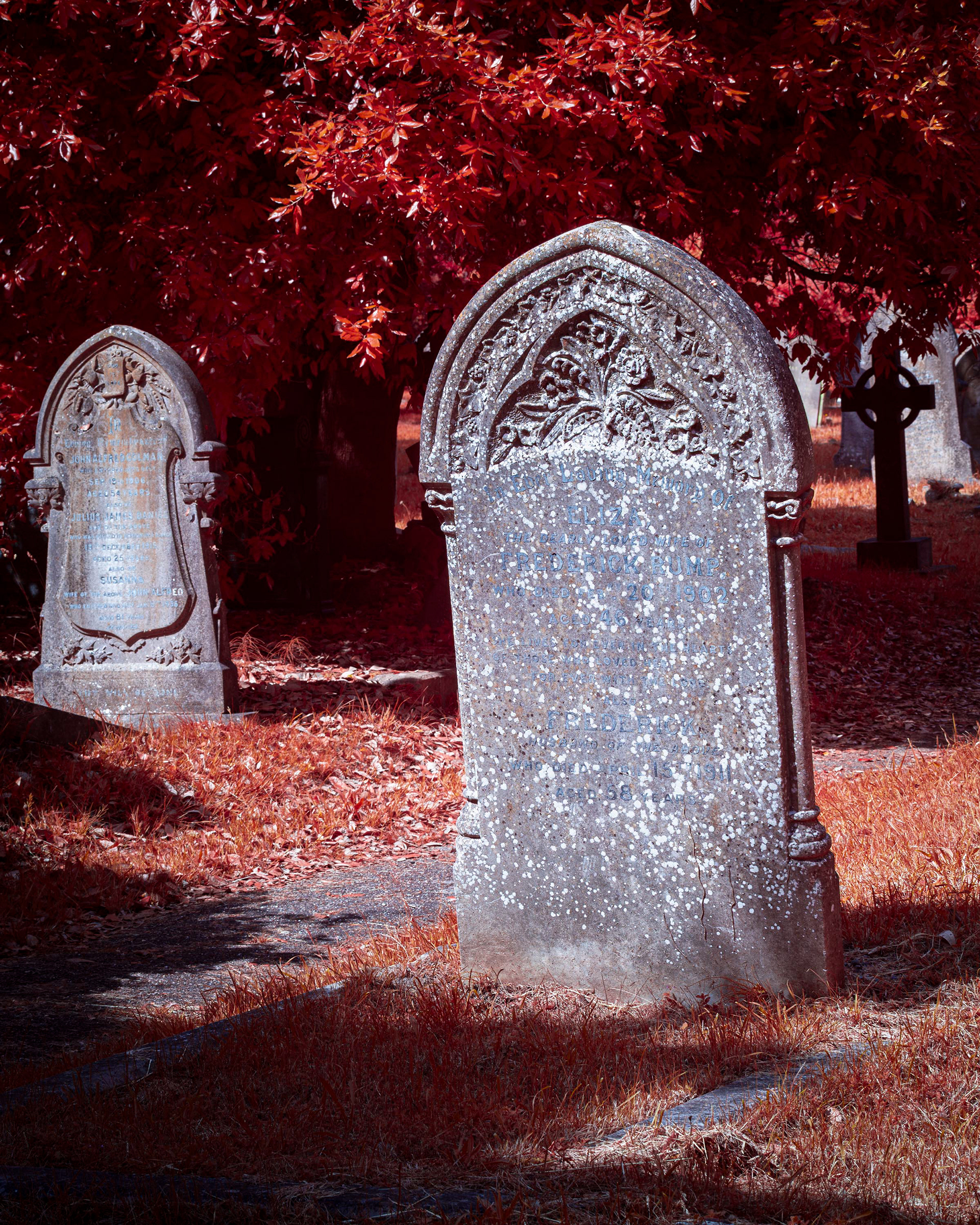Earlham Cemetery.