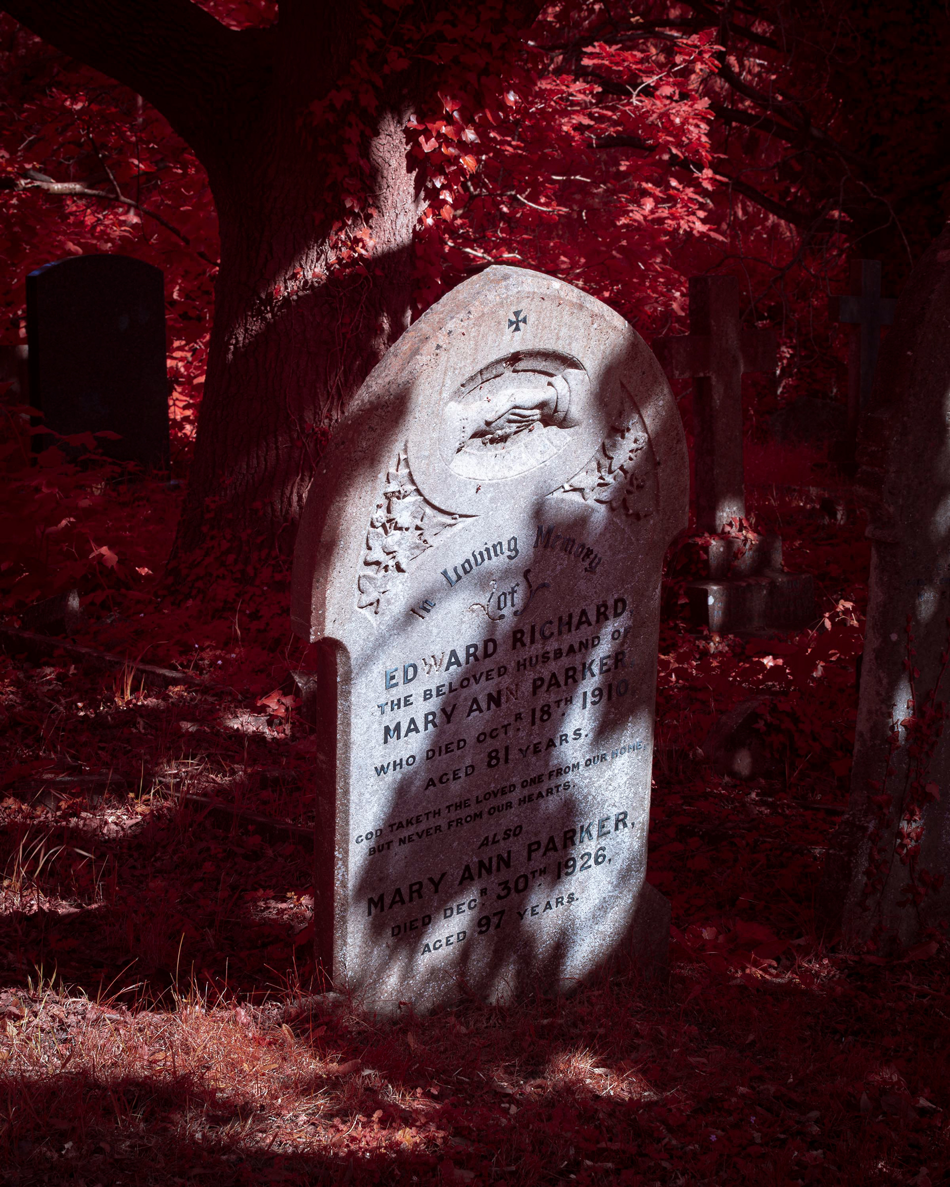 Earlham Cemetery.