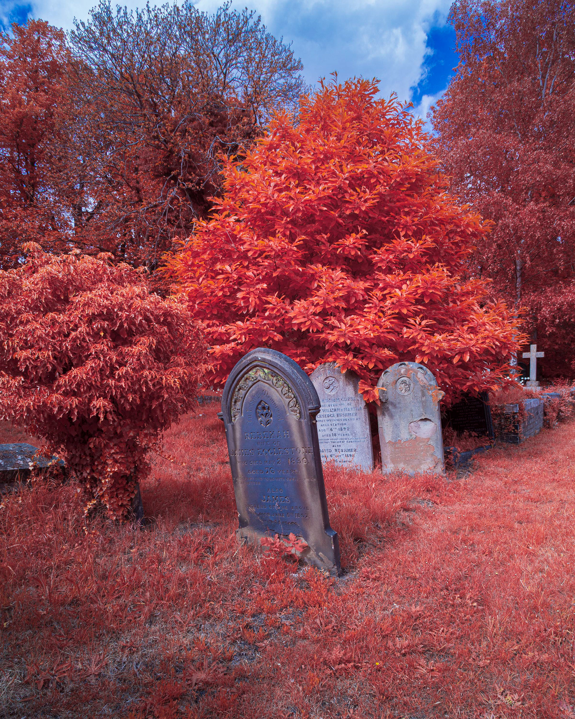 Rosary Cemetery, Norwich.