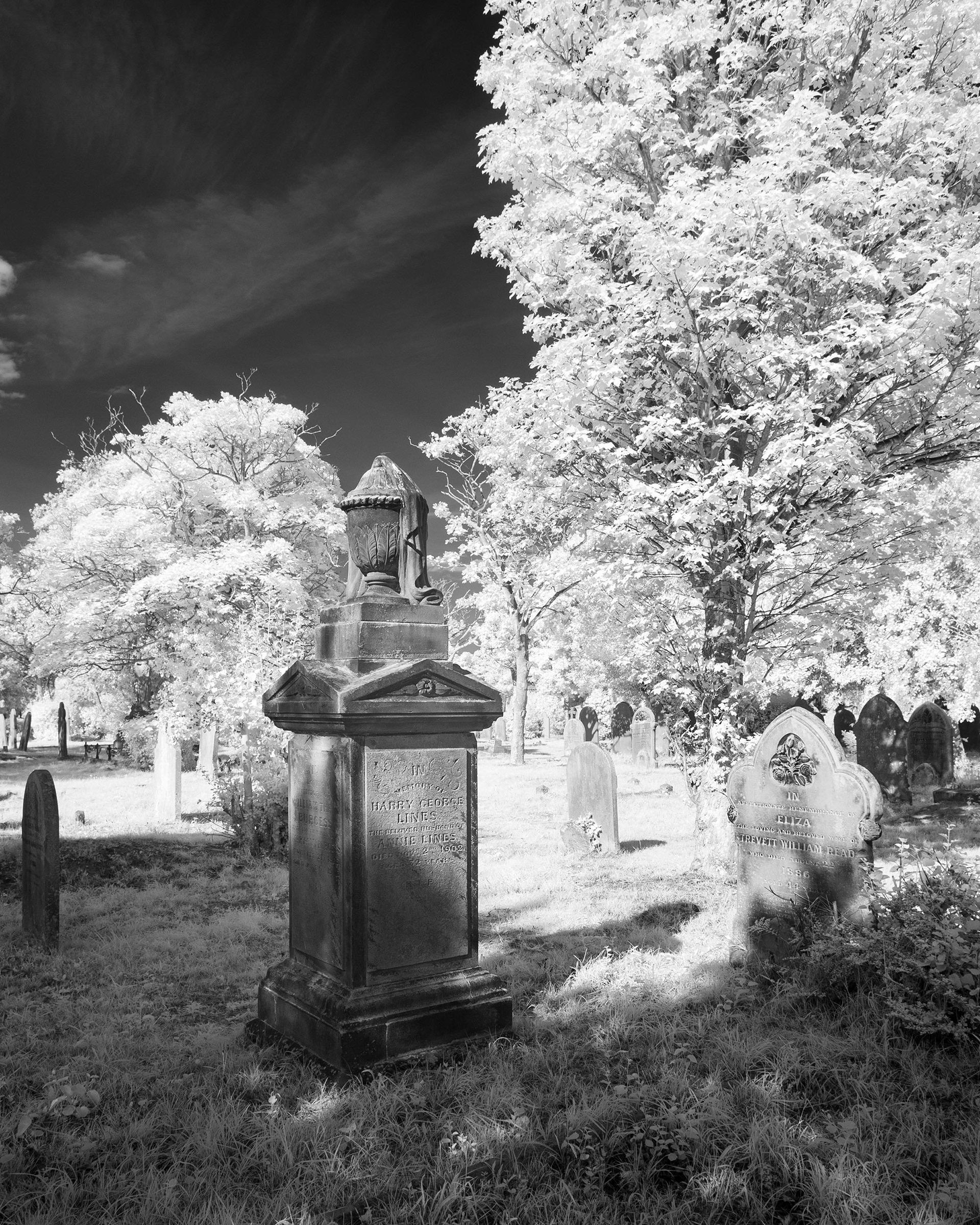Great Yarmouth Old Cemetery.