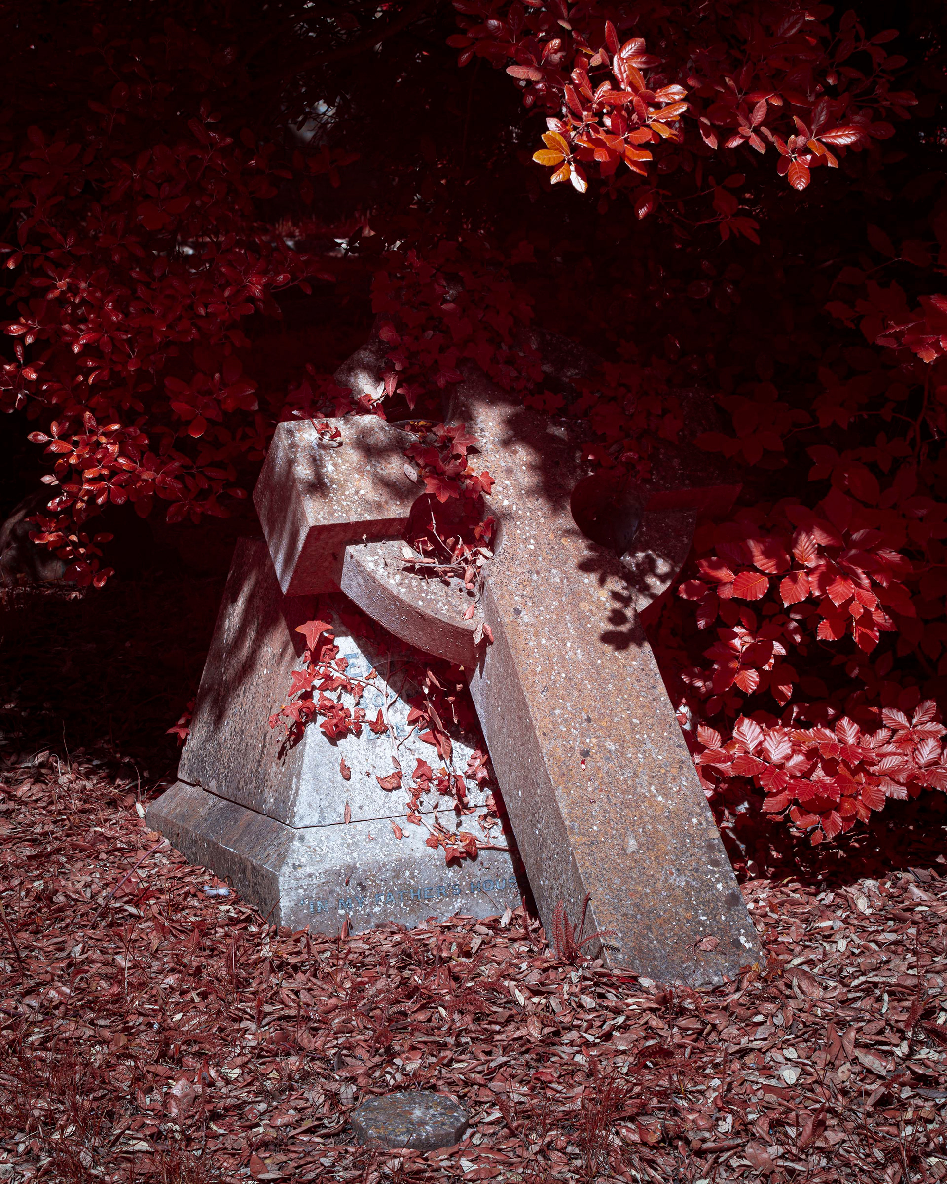Earlham Cemetery.