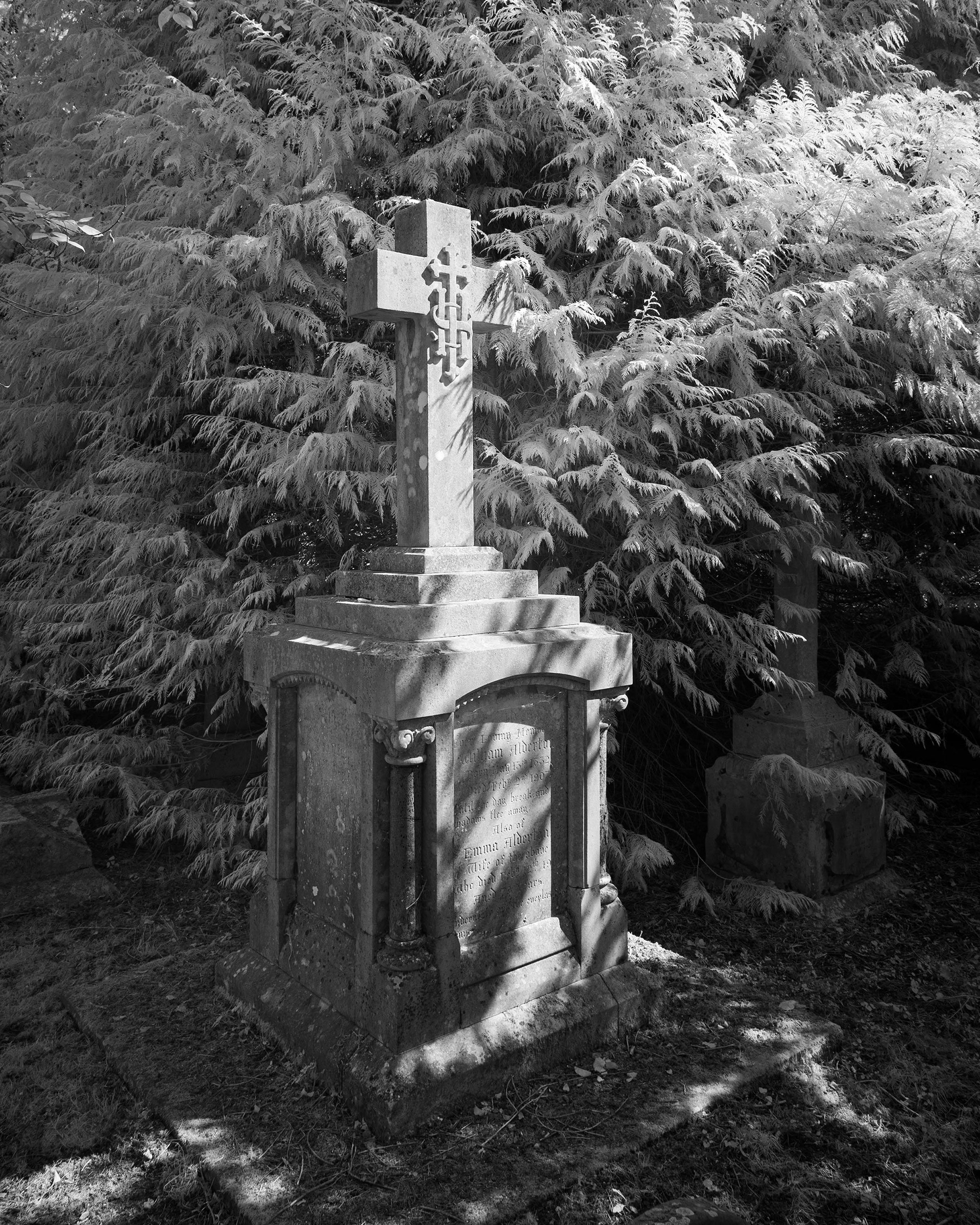 Earlham Cemetery, Norwich.