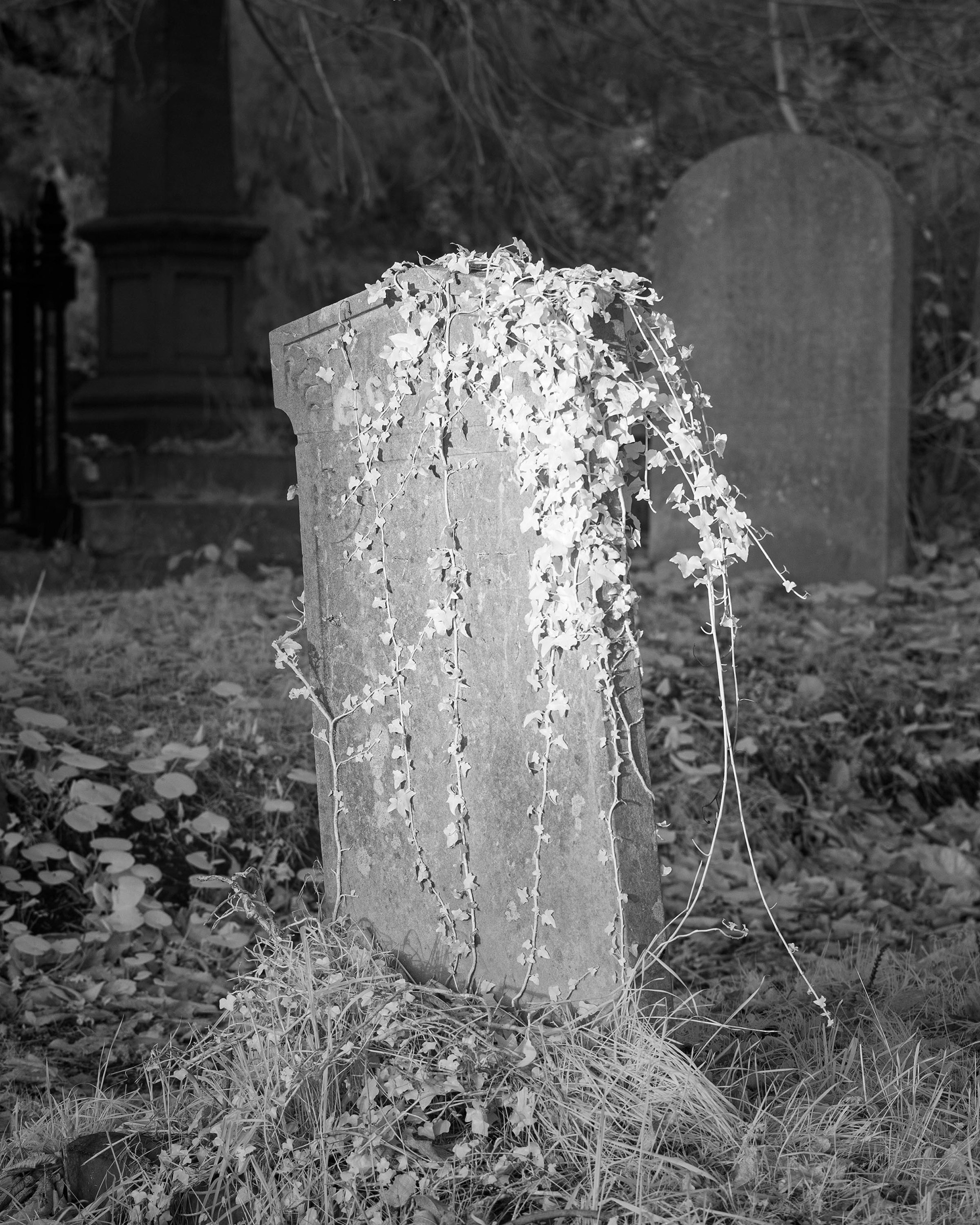 Rosary Cemetery, Norwich.