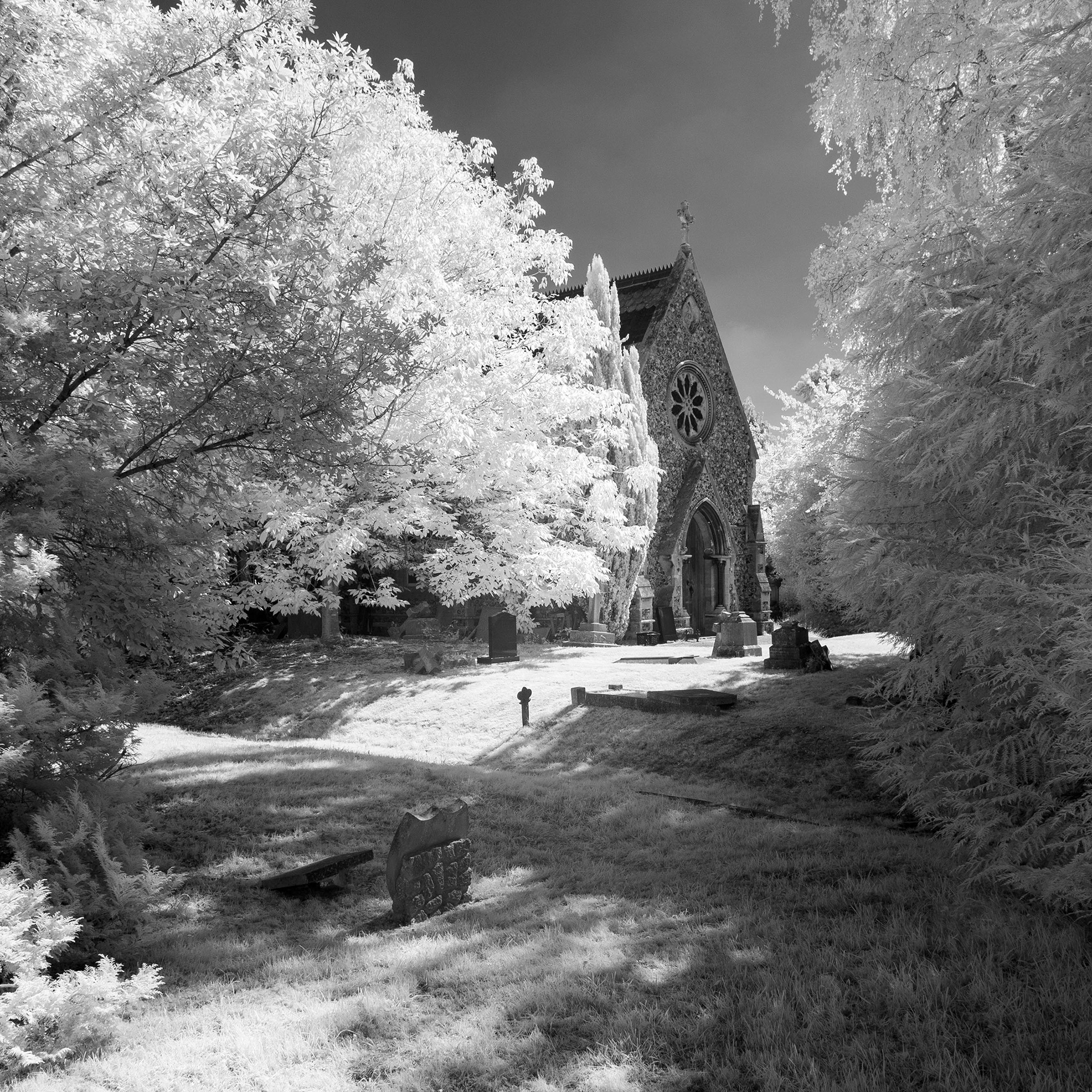 Earlham Cemetery, Norwich.
