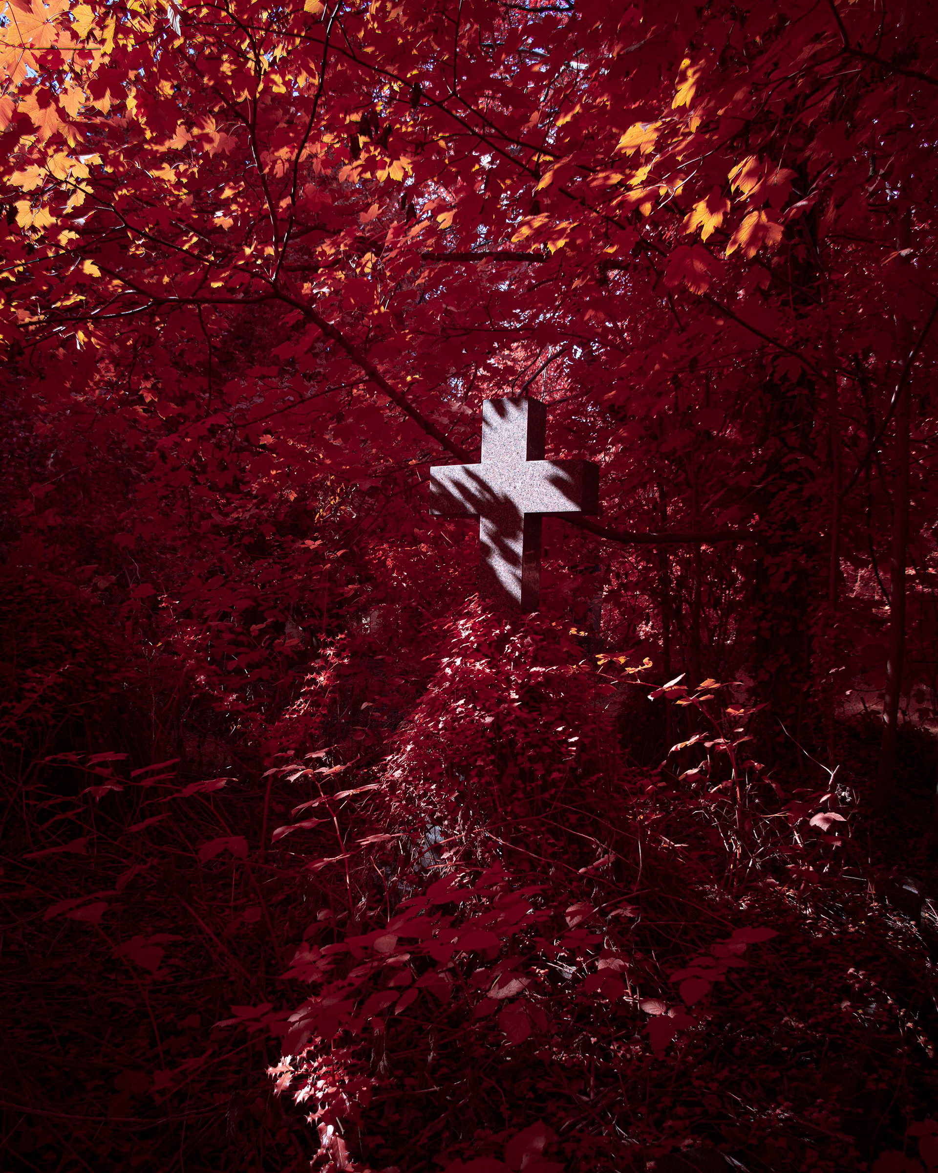 Earlham Cemetery.
