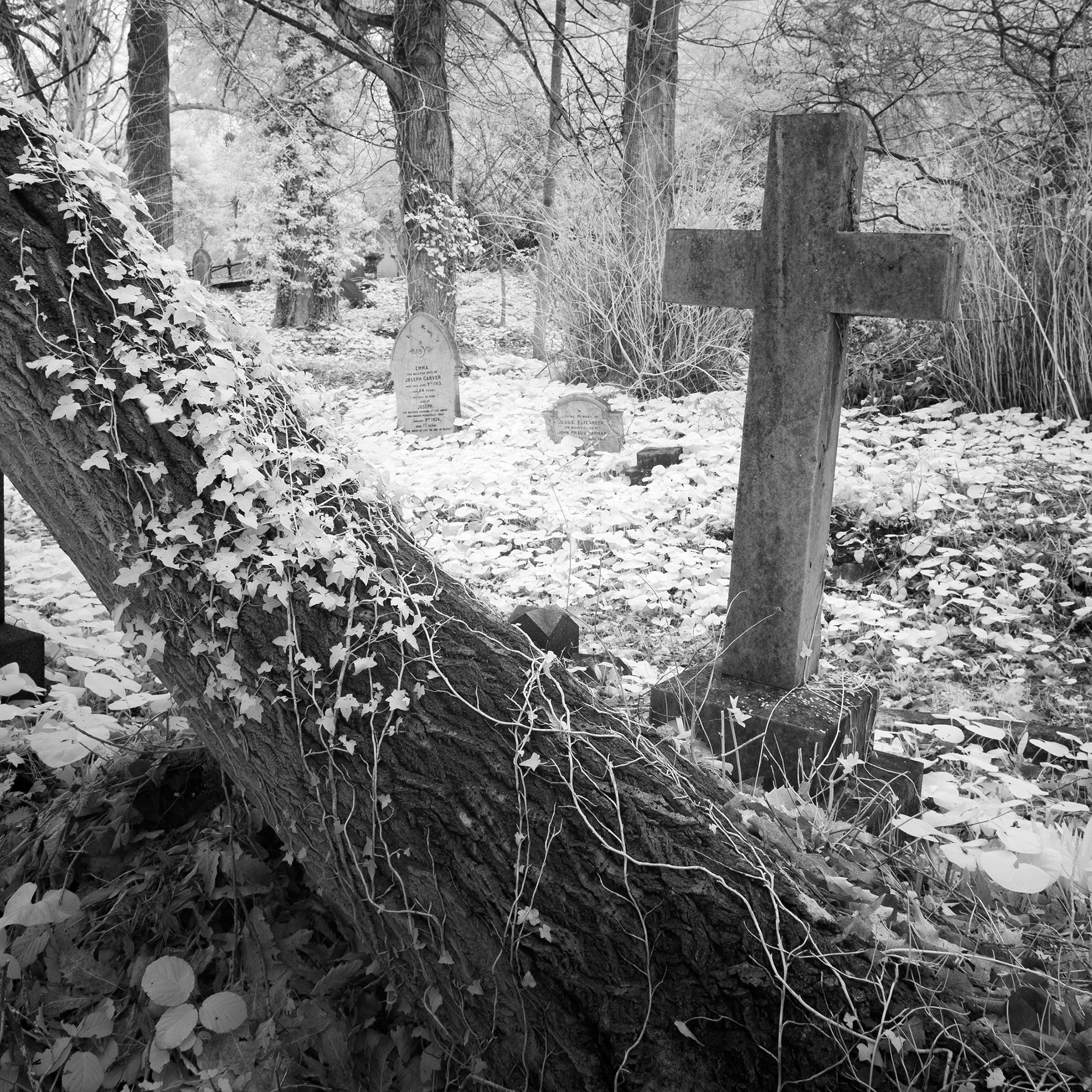 Rosary Cemetery, Norwich.