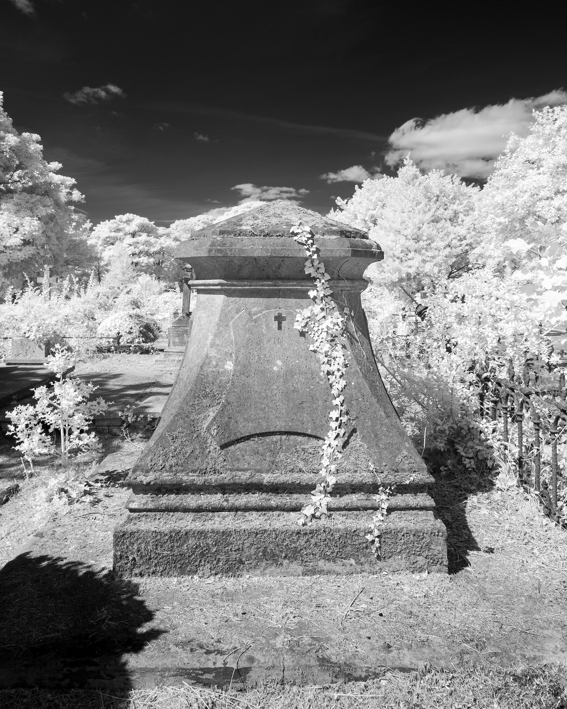 Great Yarmouth Old Cemetery.