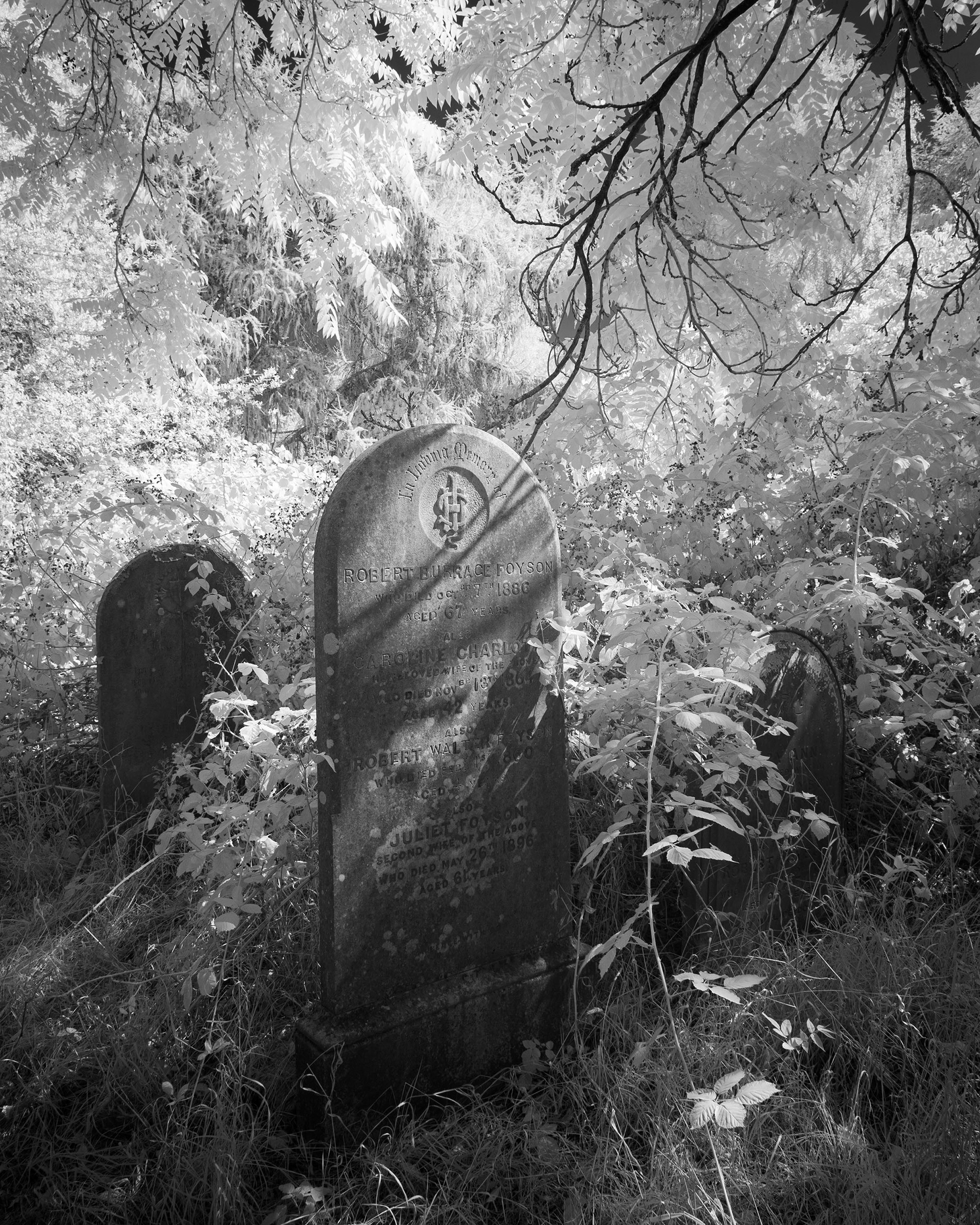Rosary Cemetery, Norwich.
