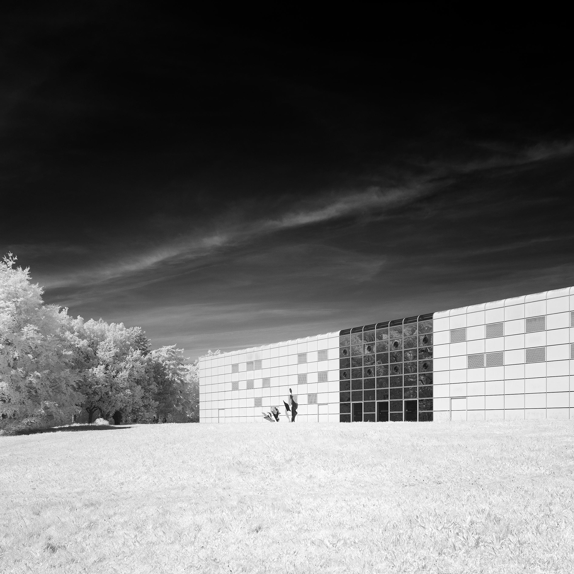 Sainsbury Centre, UEA.