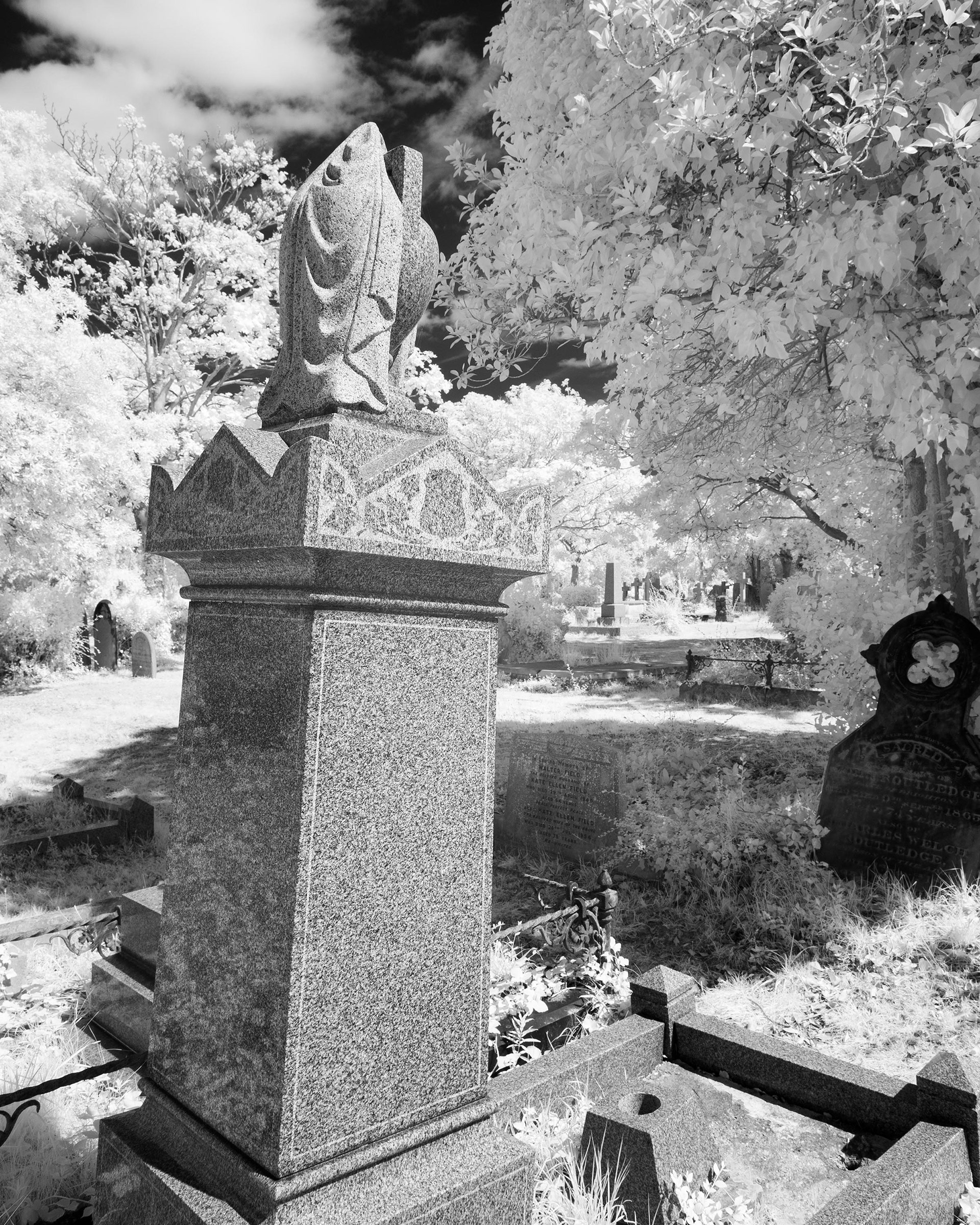 Great Yarmouth Old Cemetery.
