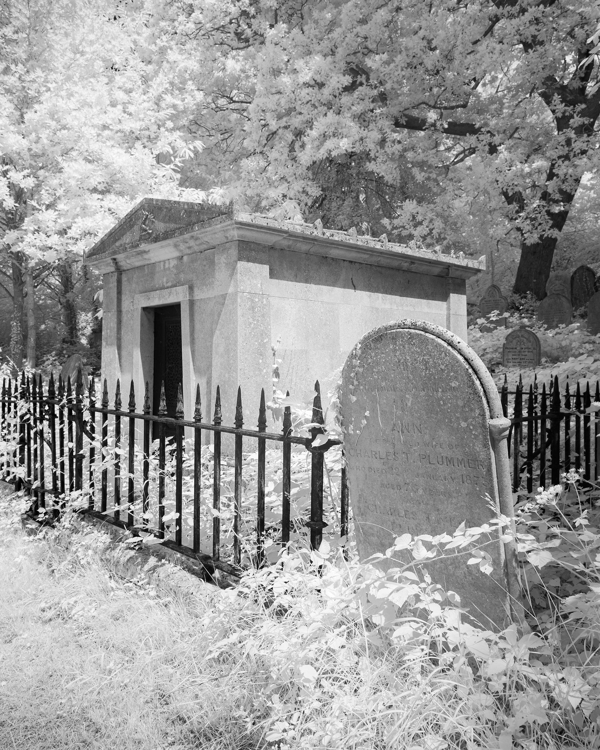 Rosary Cemetery, Norwich.