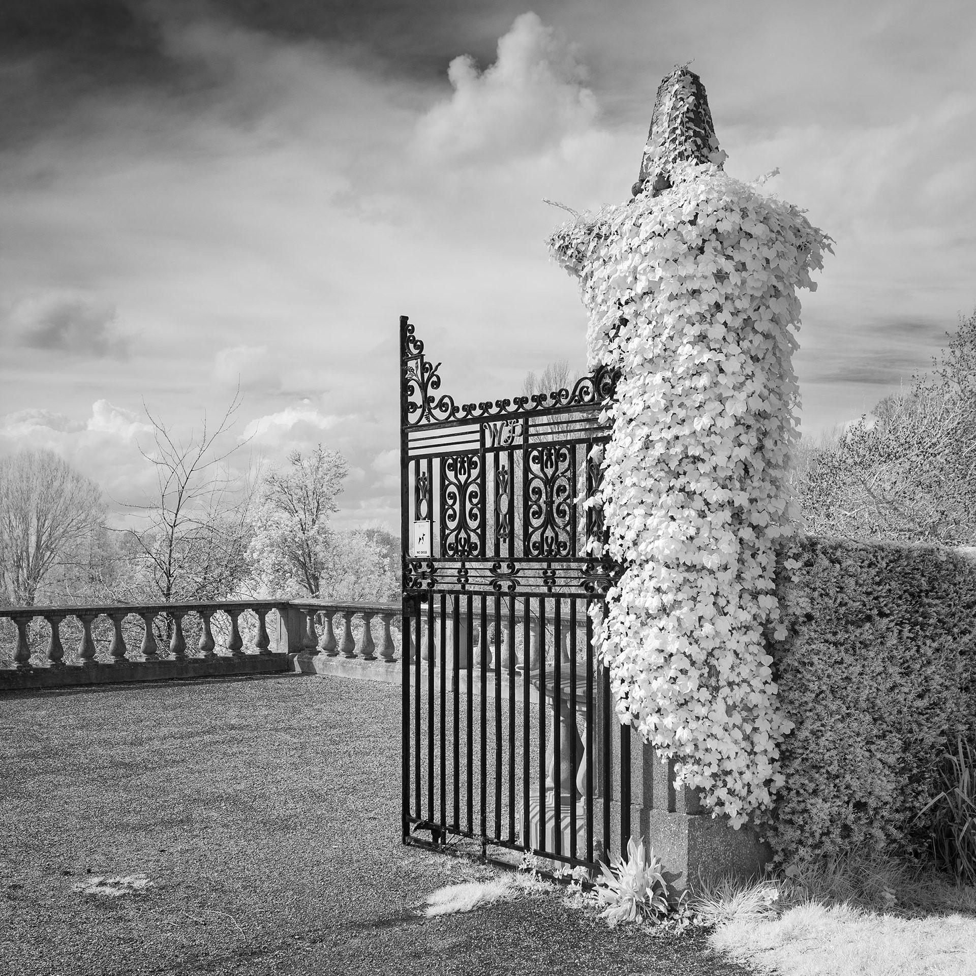 Wensum Park.