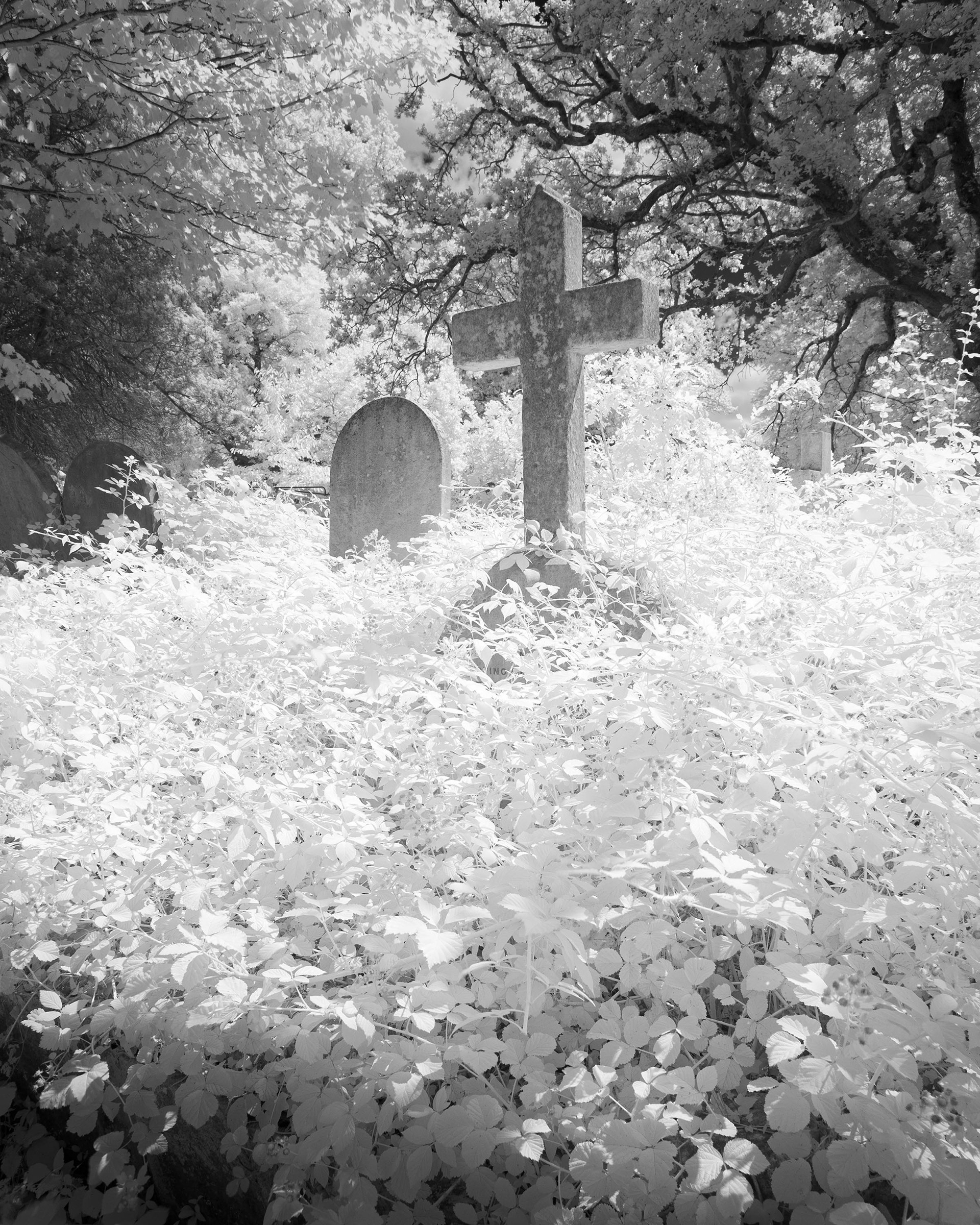Rosary Cemetery, Norwich.