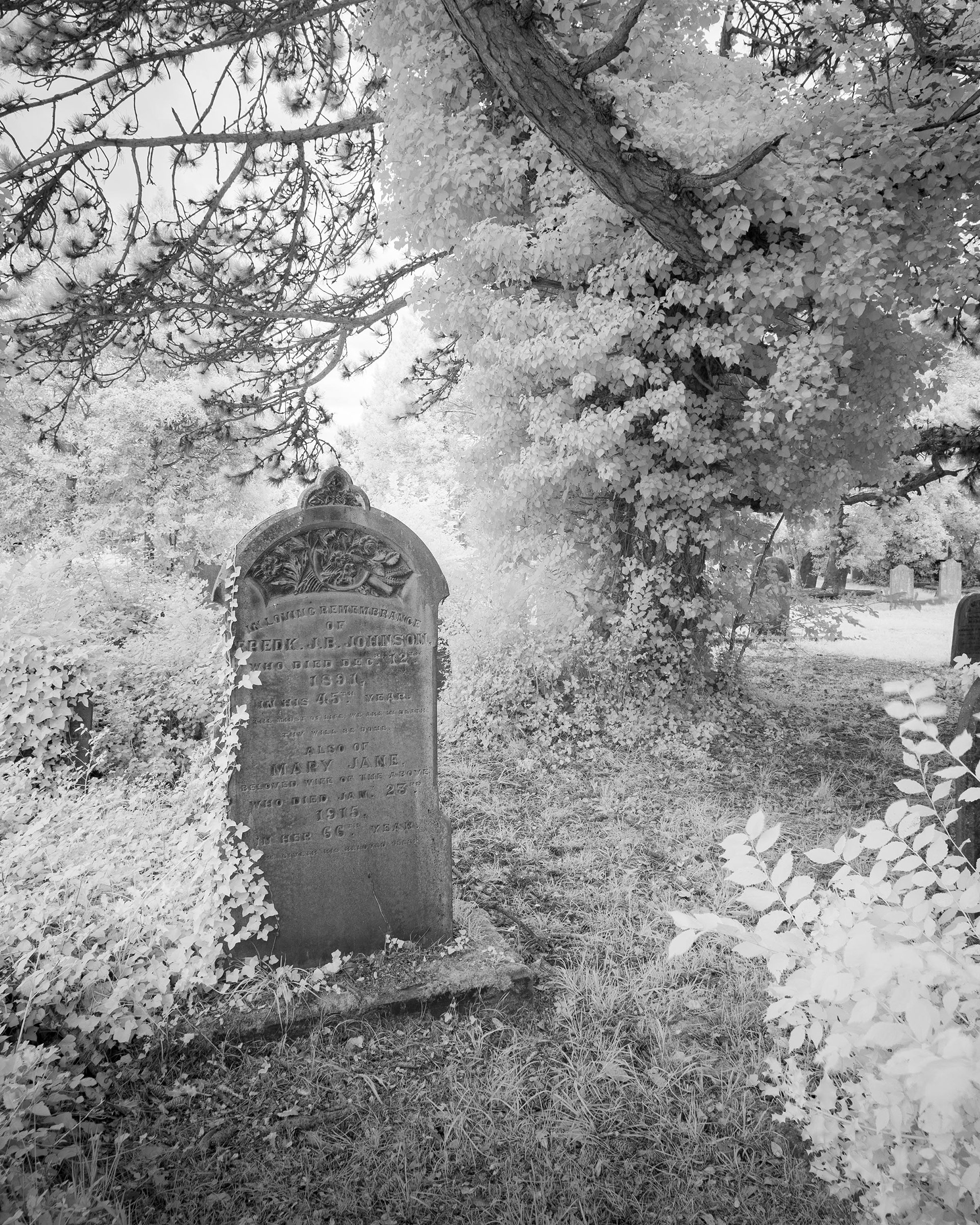 Great Yarmouth Old Cemetery.