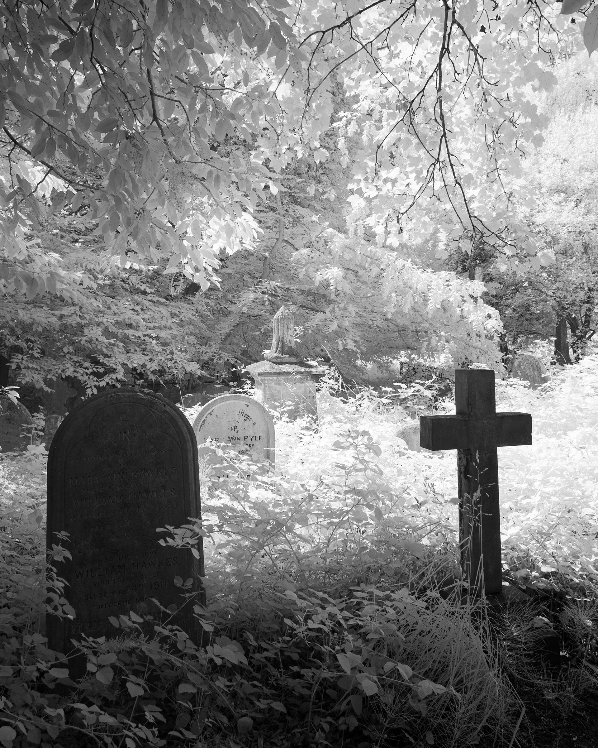 Rosary Cemetery, Norwich.