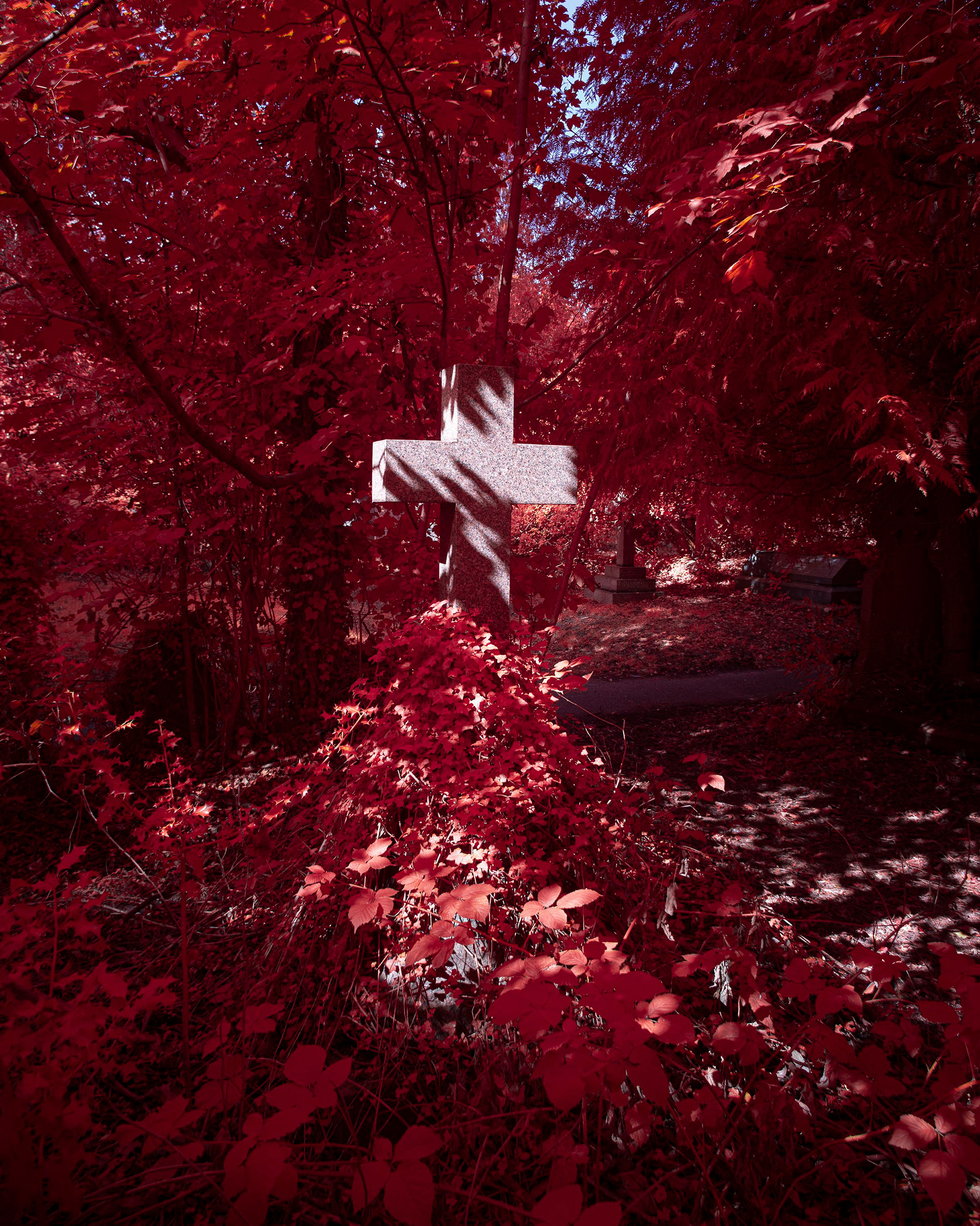 Earlham Cemetery.