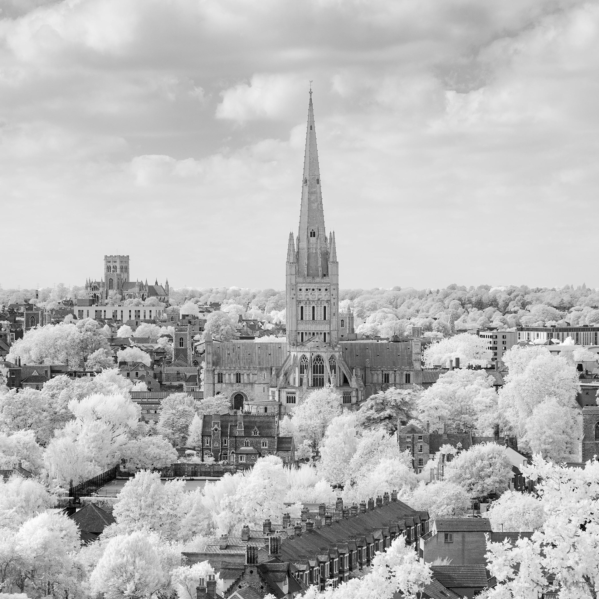 Norwich Cathedral.