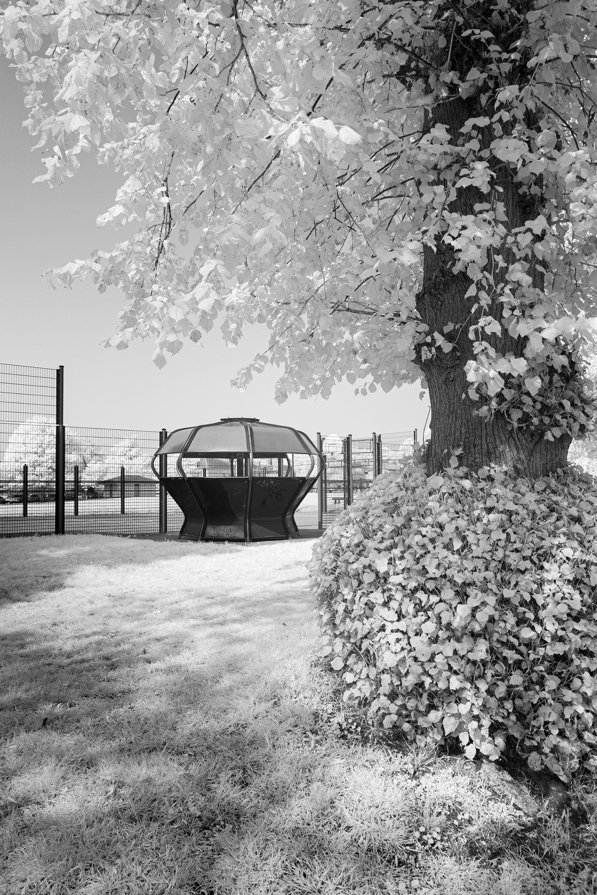 The Mere, Diss.