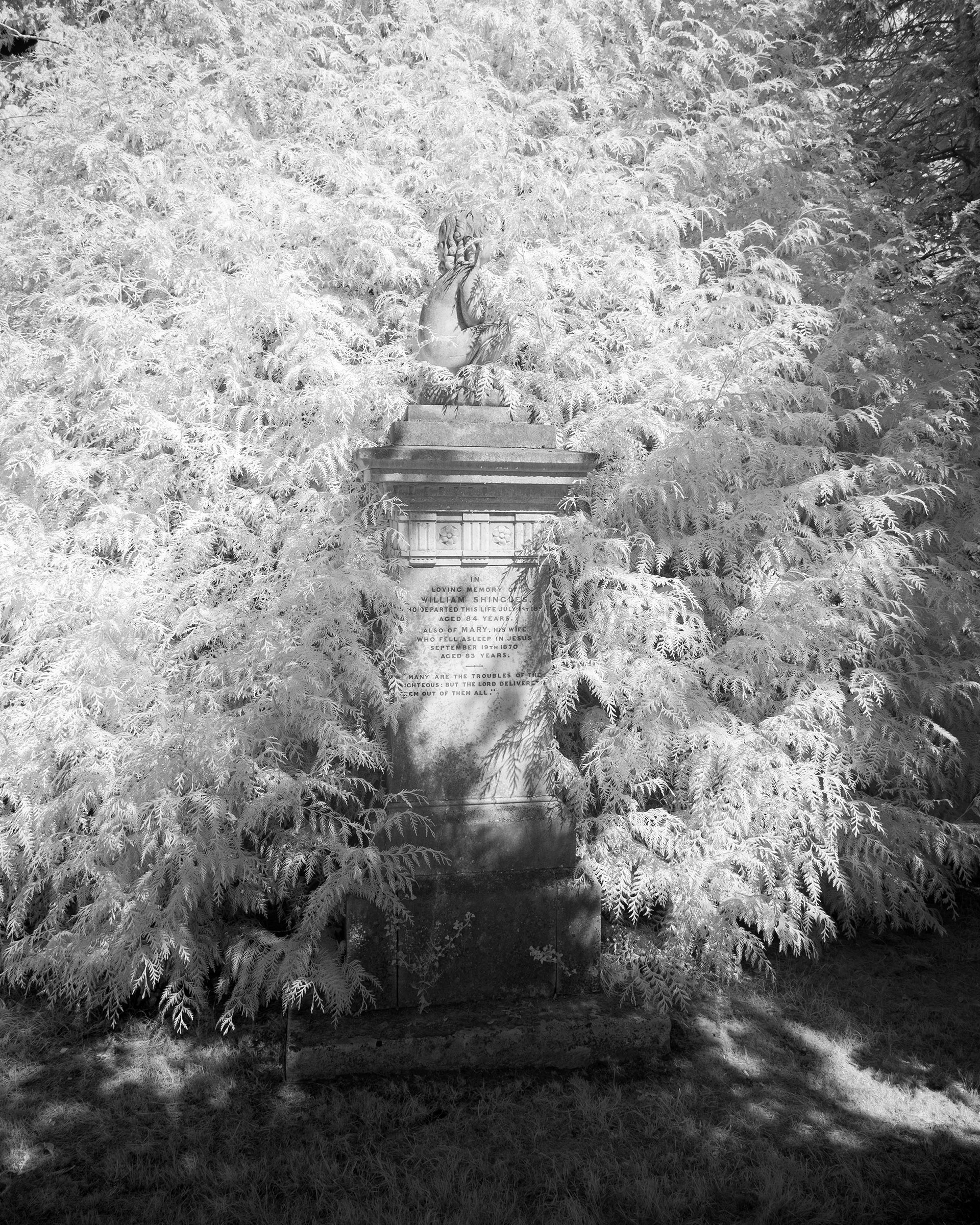 Earlham Cemetery, Norwich.
