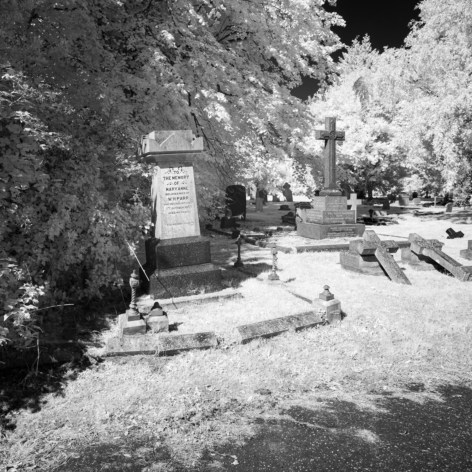 Earlham Cemetery, Norwich.
