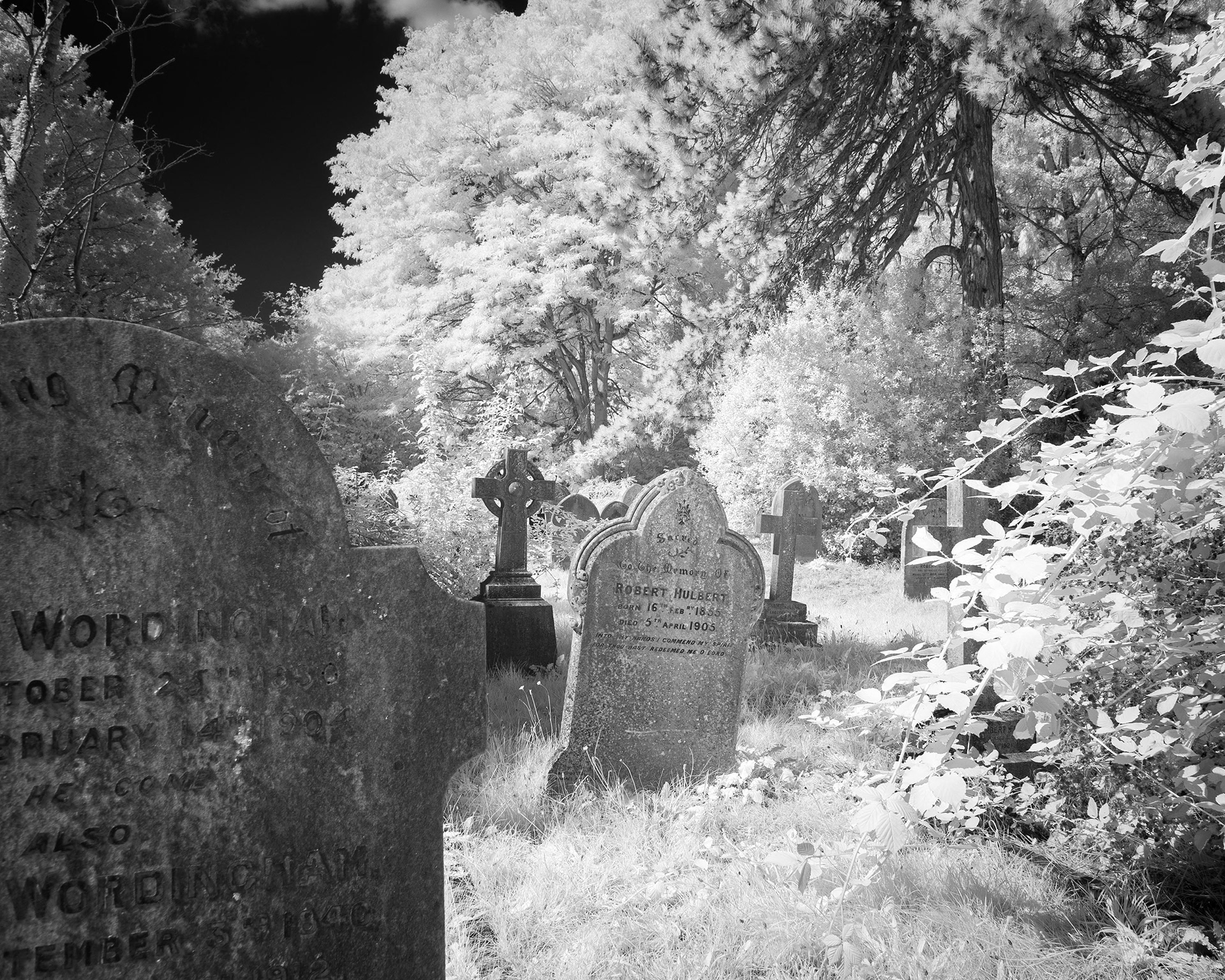 Earlham Cemetery, Norwich.
