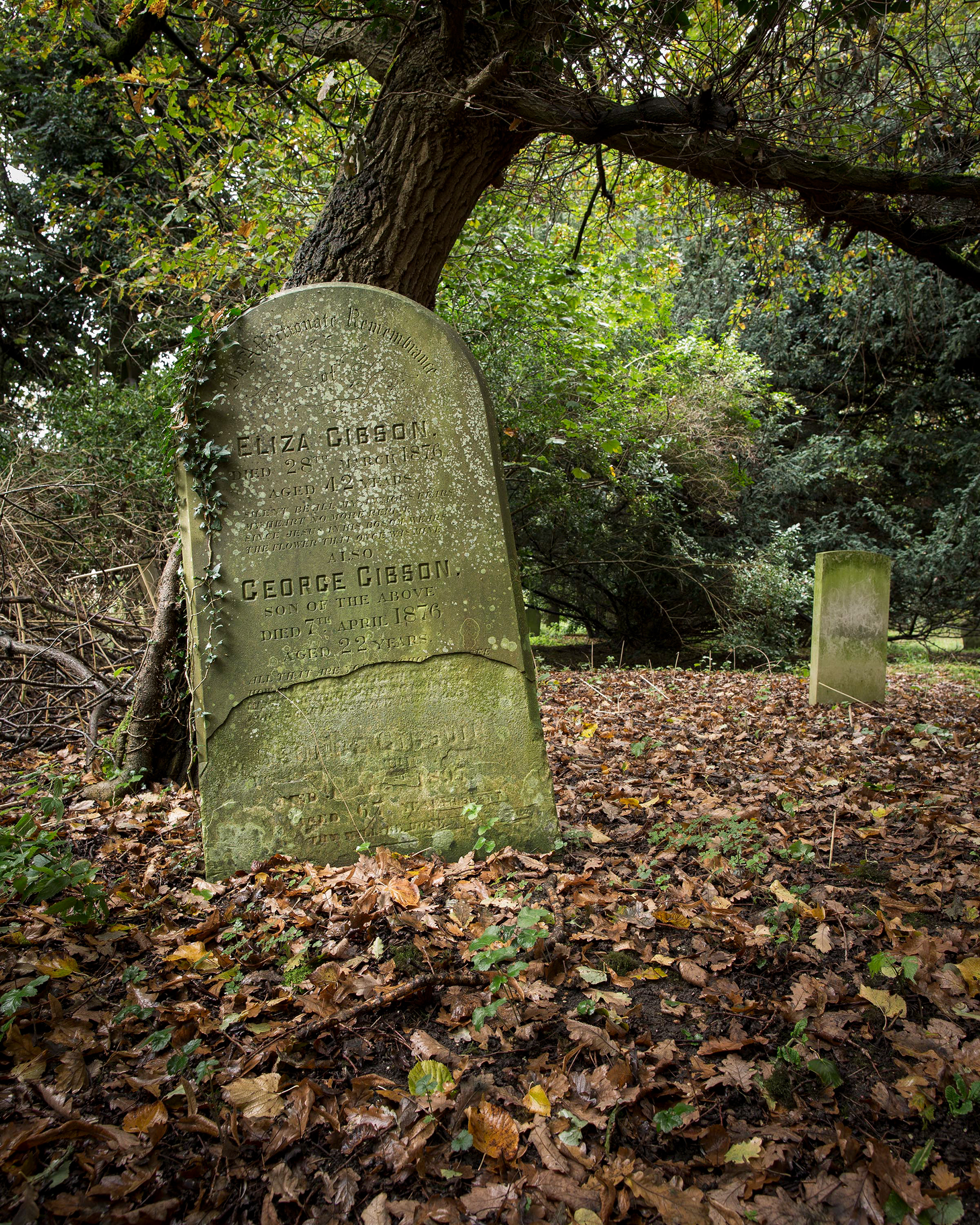 Earlham Cemetery, Norwich.