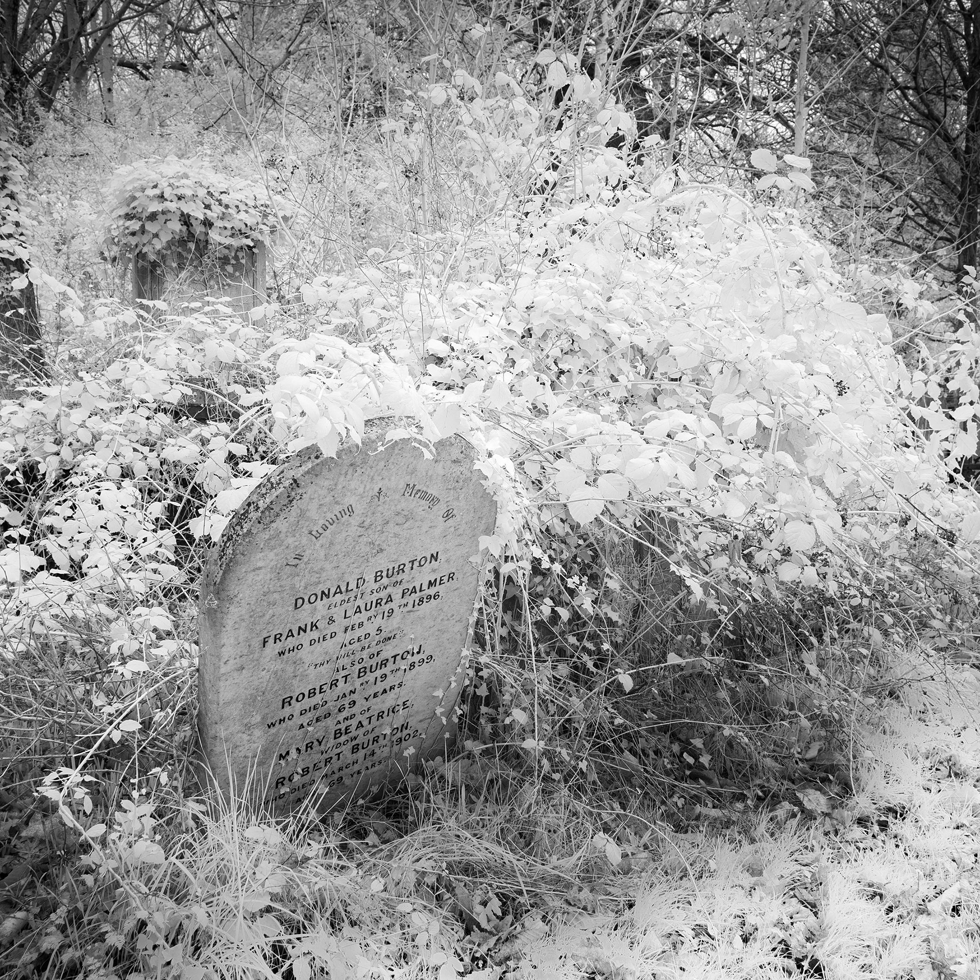 Rosary Cemetery, Norwich.