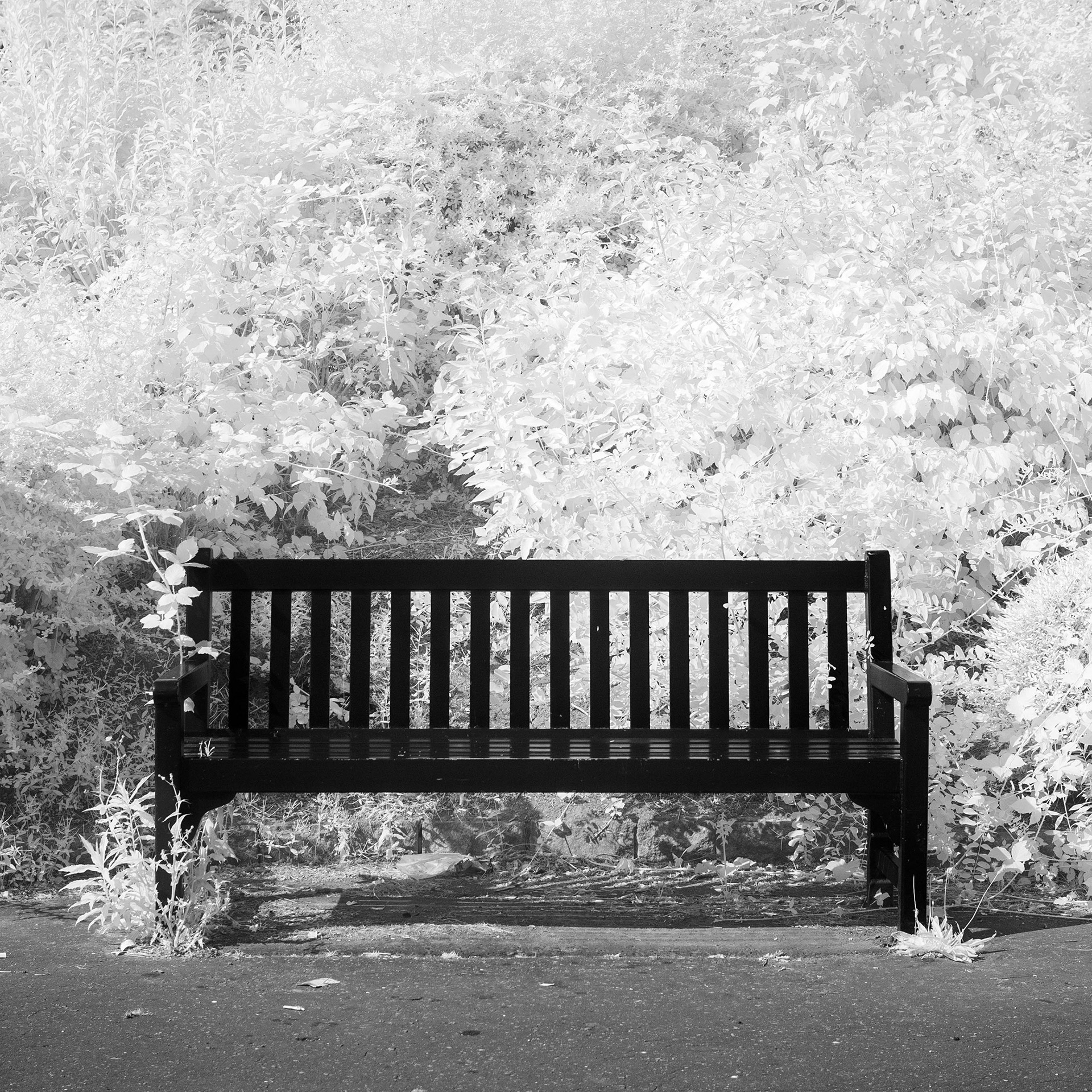 Upper Hellesdon Gardens.