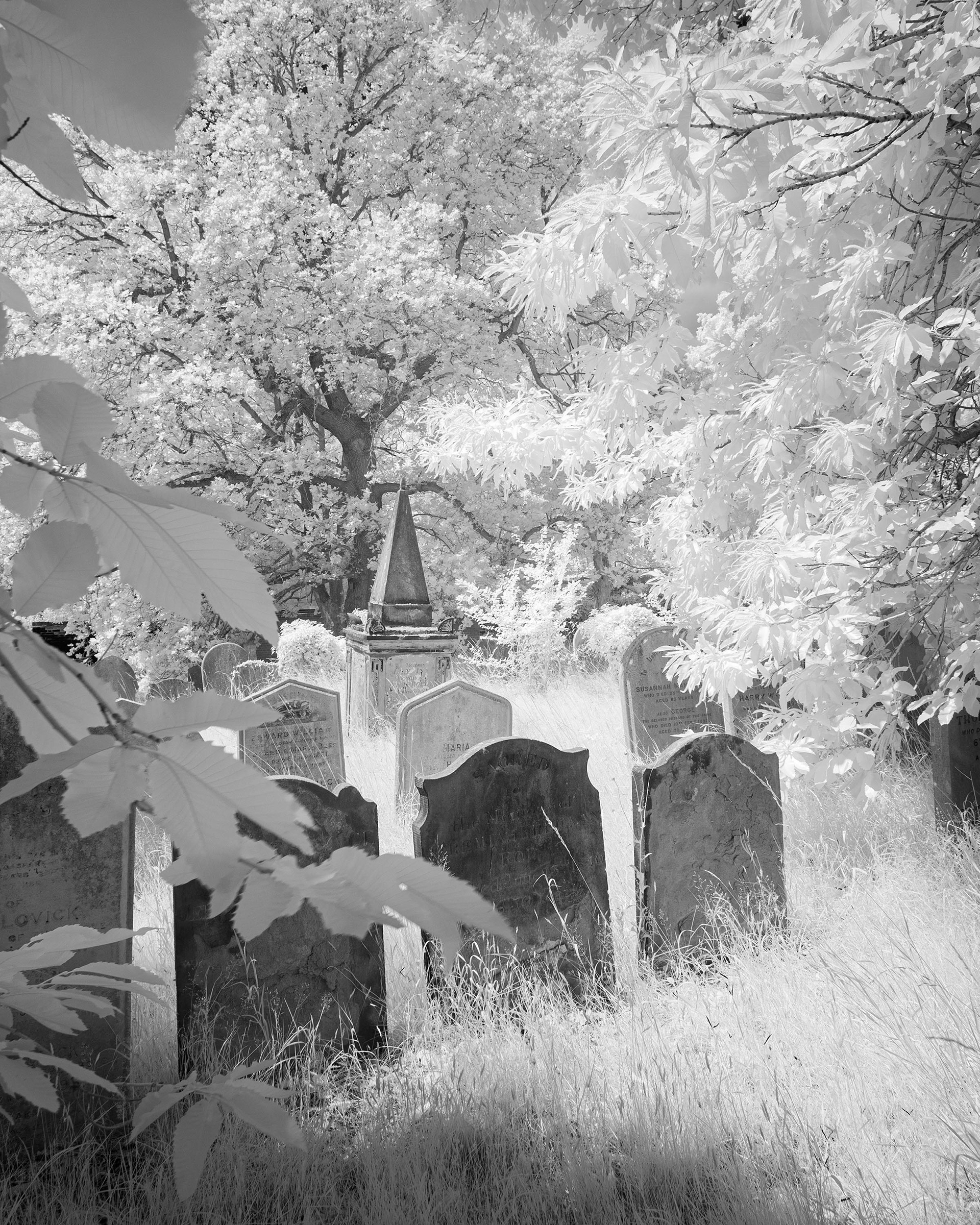 Rosary Cemetery, Norwich.