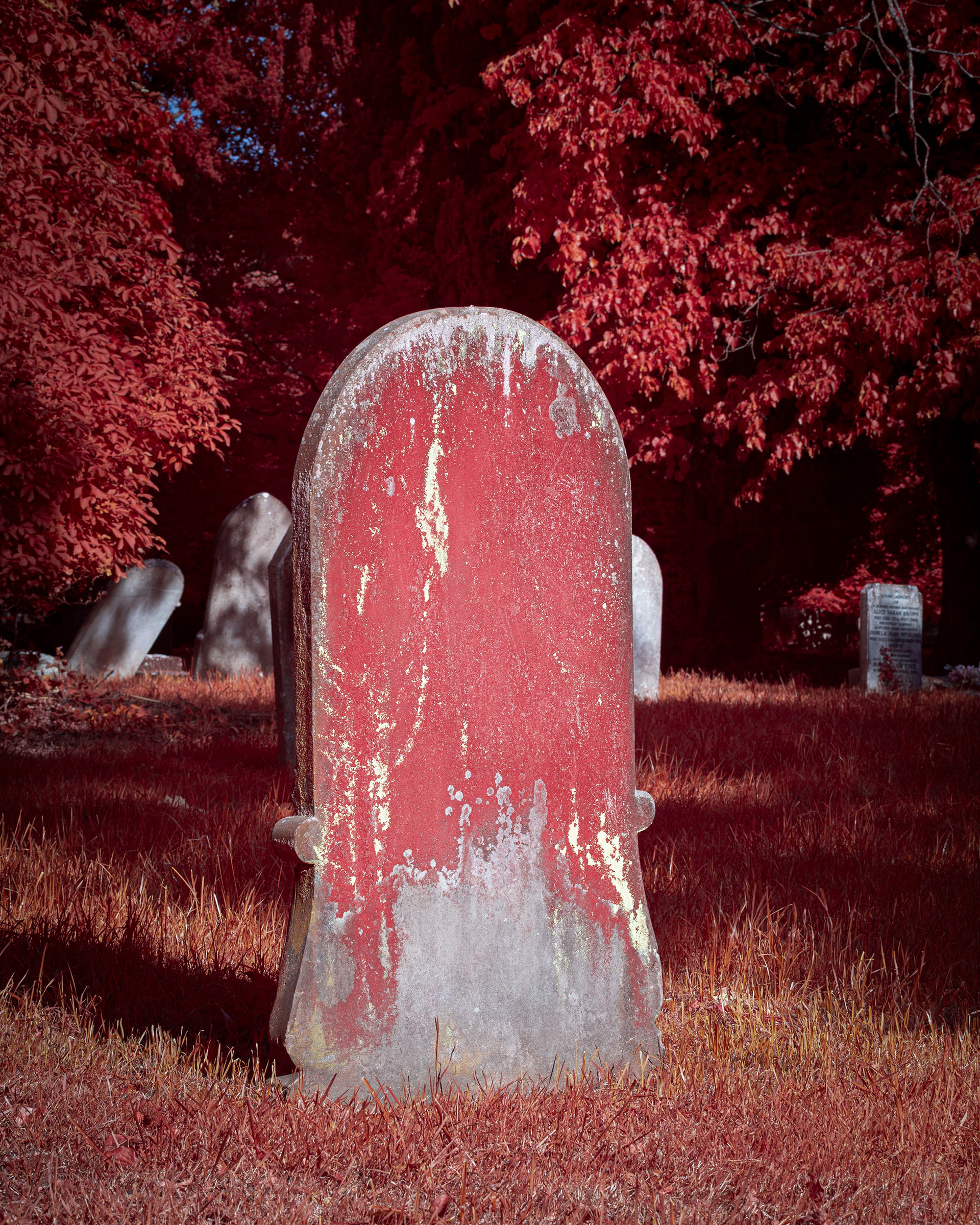 Earlham Cemetery.