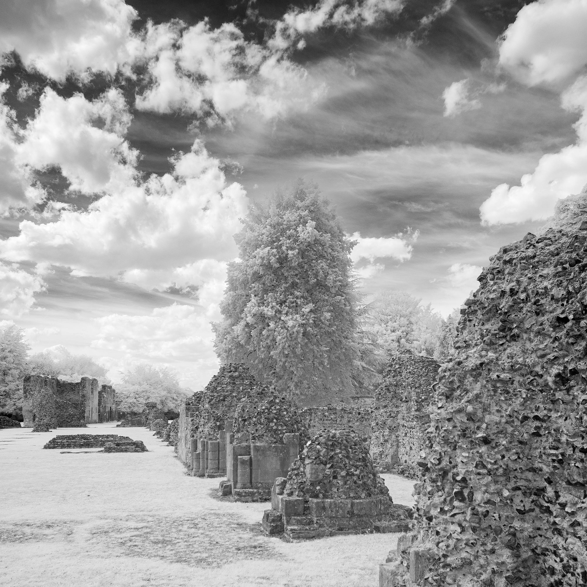 Thetford Priory.