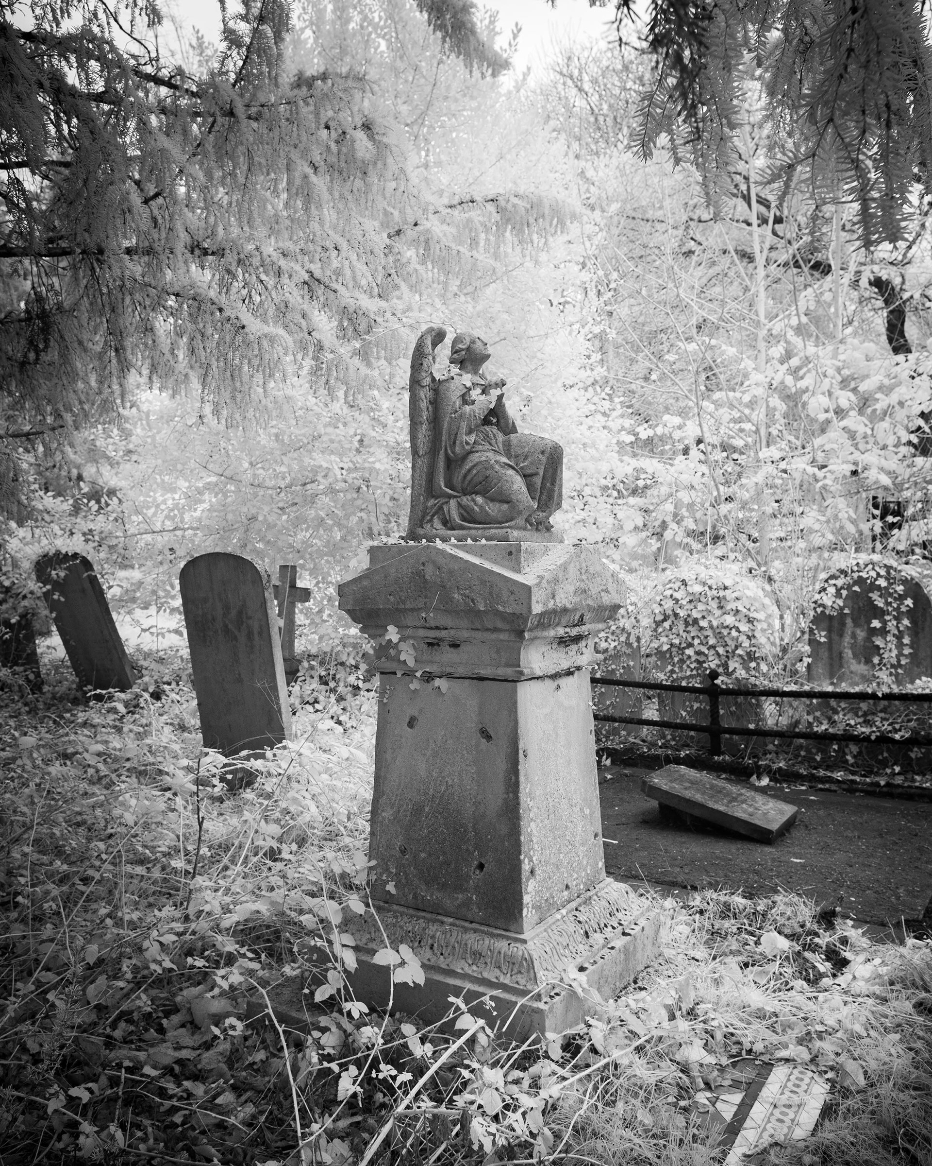 Rosary Cemetery, Norwich.