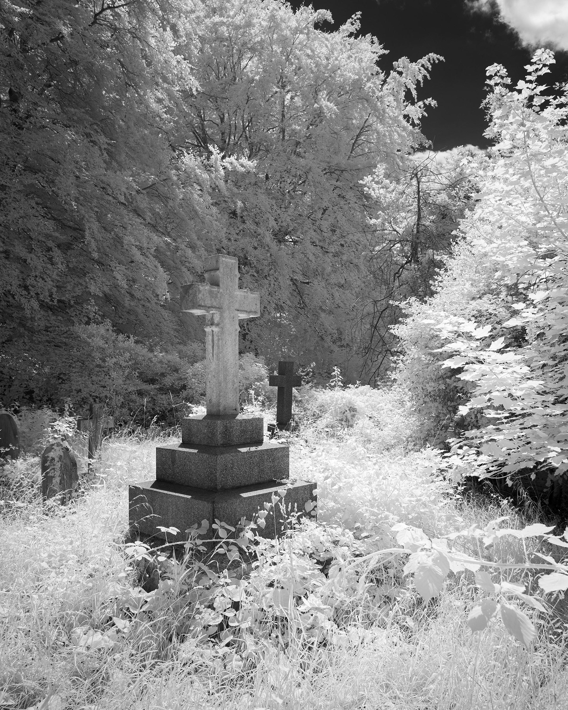 Rosary Cemetery, Norwich.
