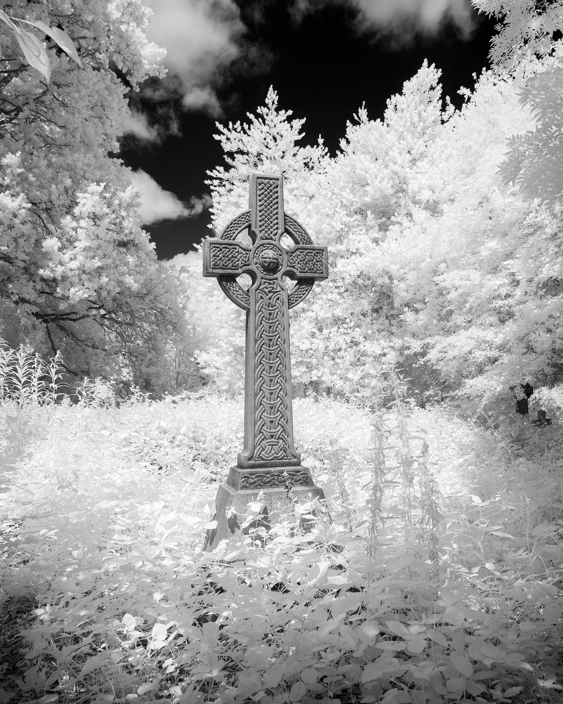 Rosary Cemetery, Norwich.