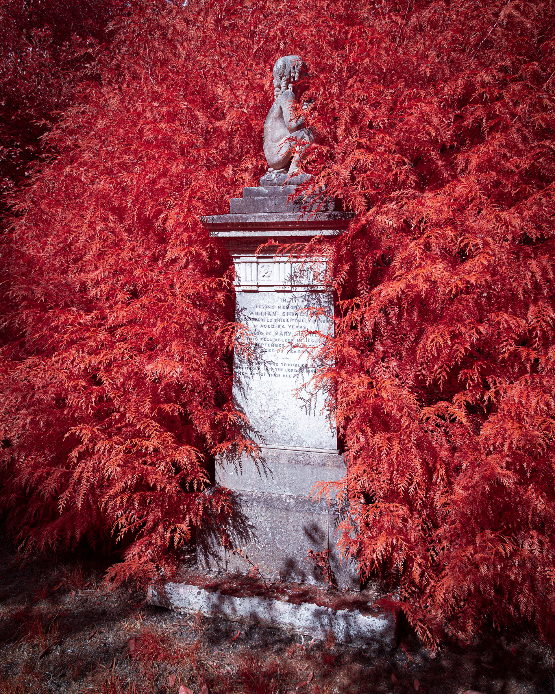 Earlham Cemetery.