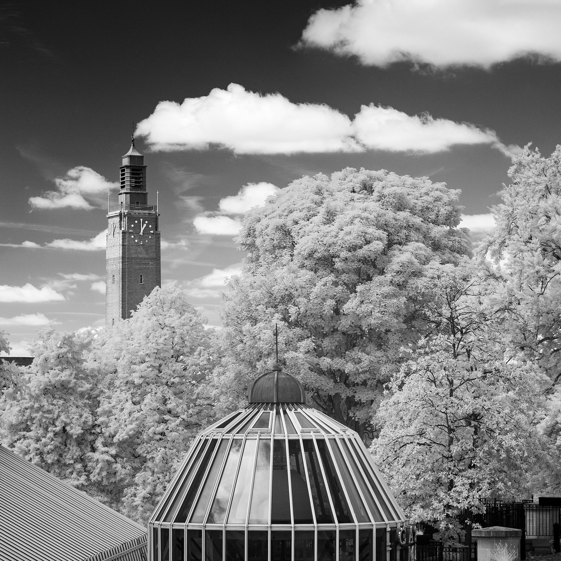 Castle Gardens.