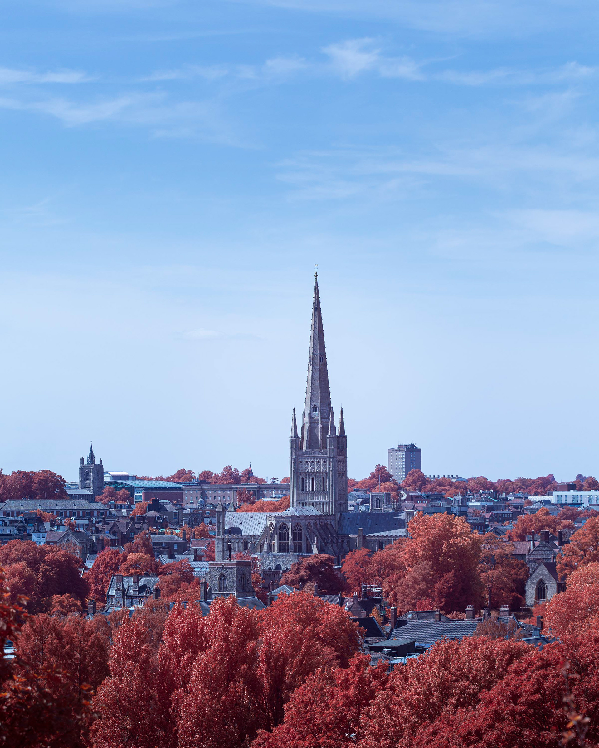 Norwich Cathedral, Norfolk.