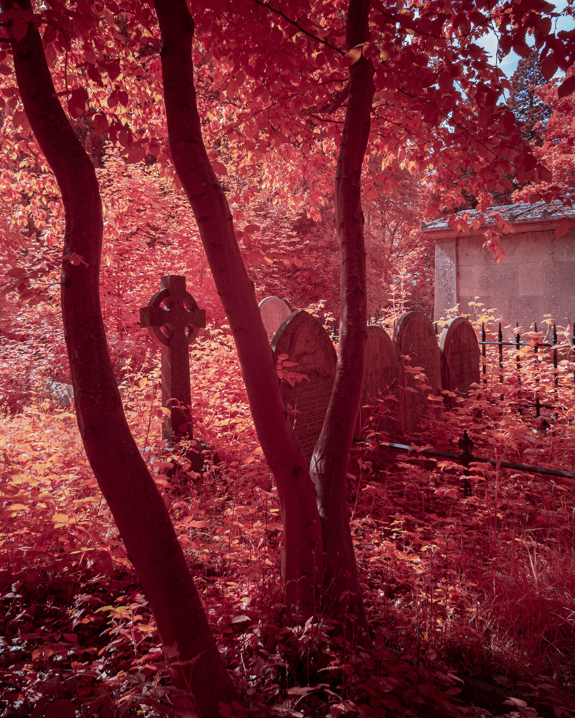 Rosary Cemetery.